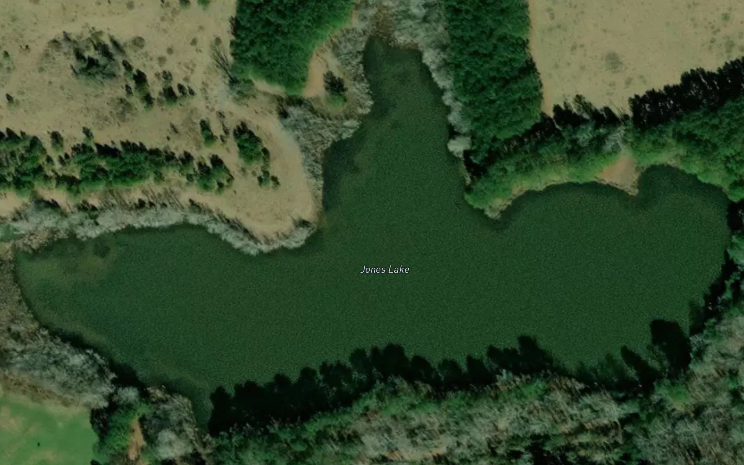 Jones Lake