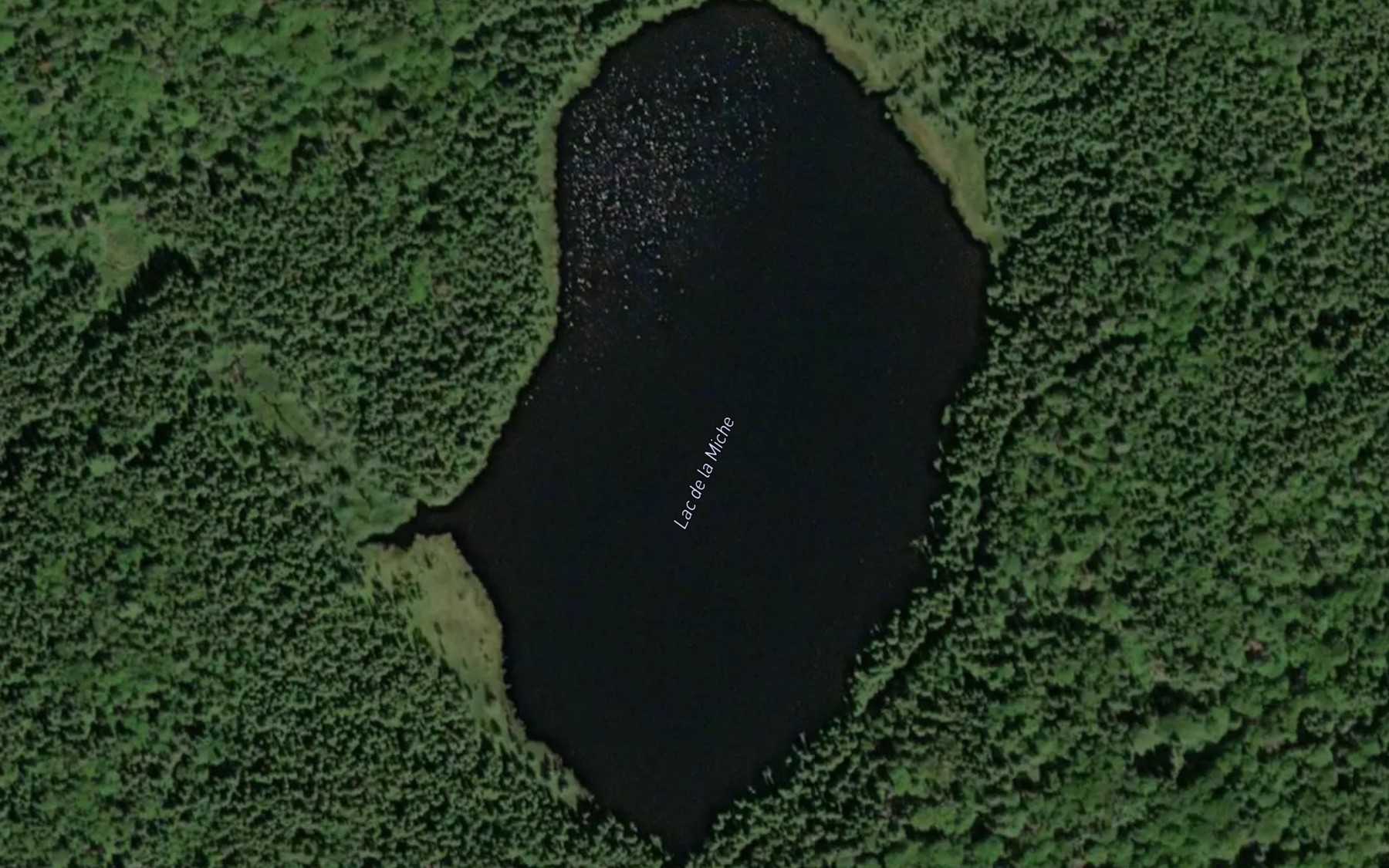 Satellite map of the Lac de la Miche