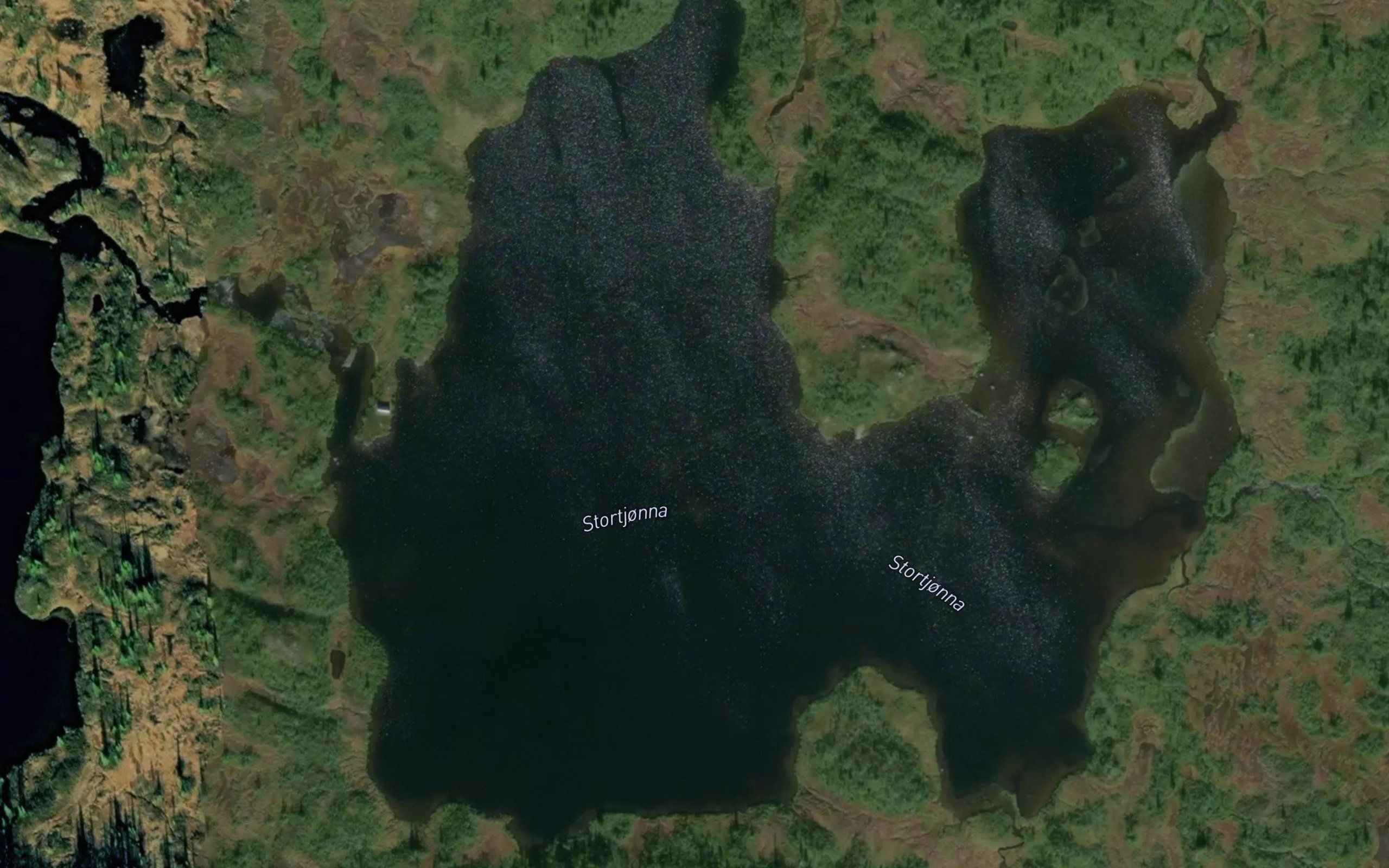 Stortjonna