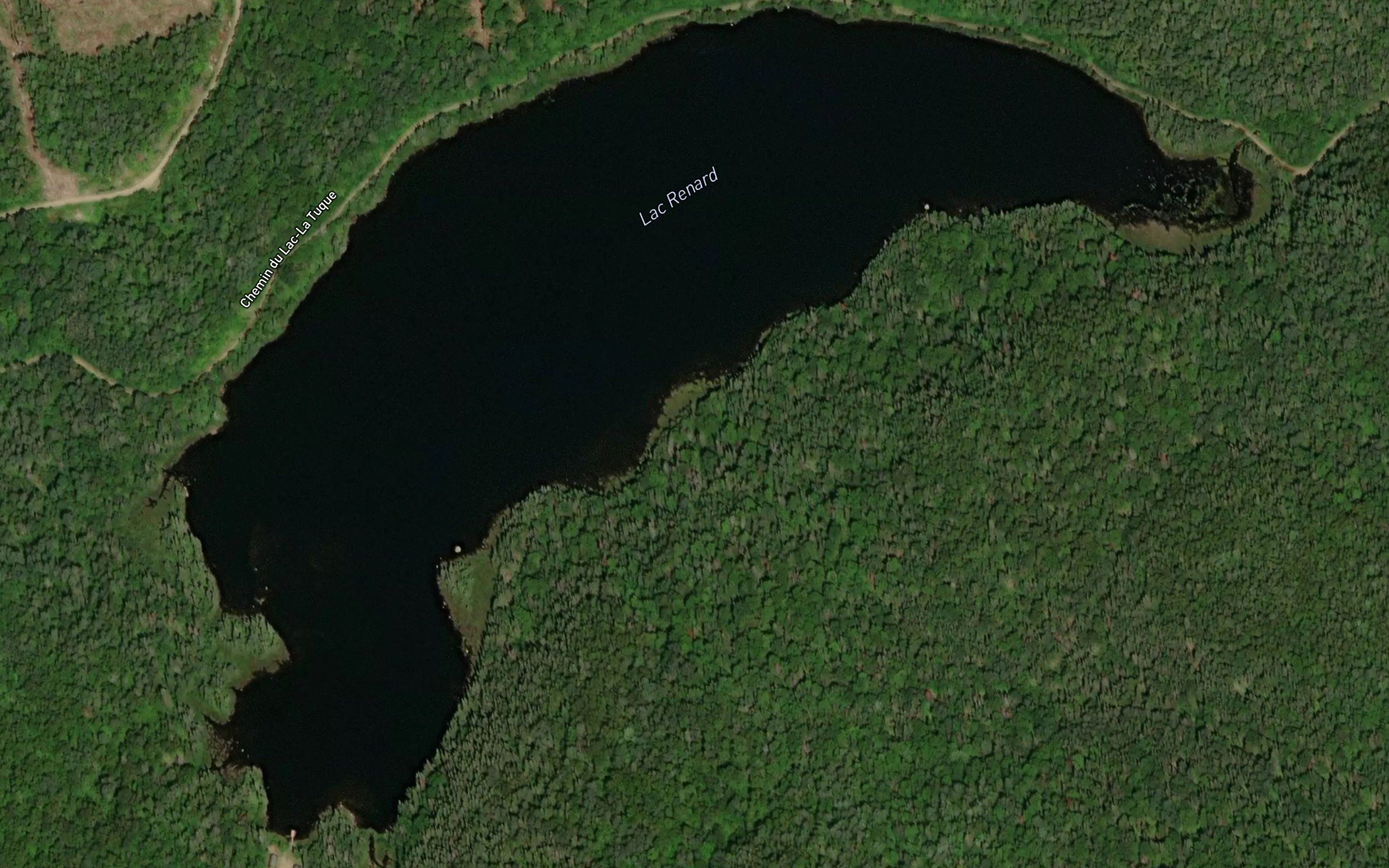 Lac Renard