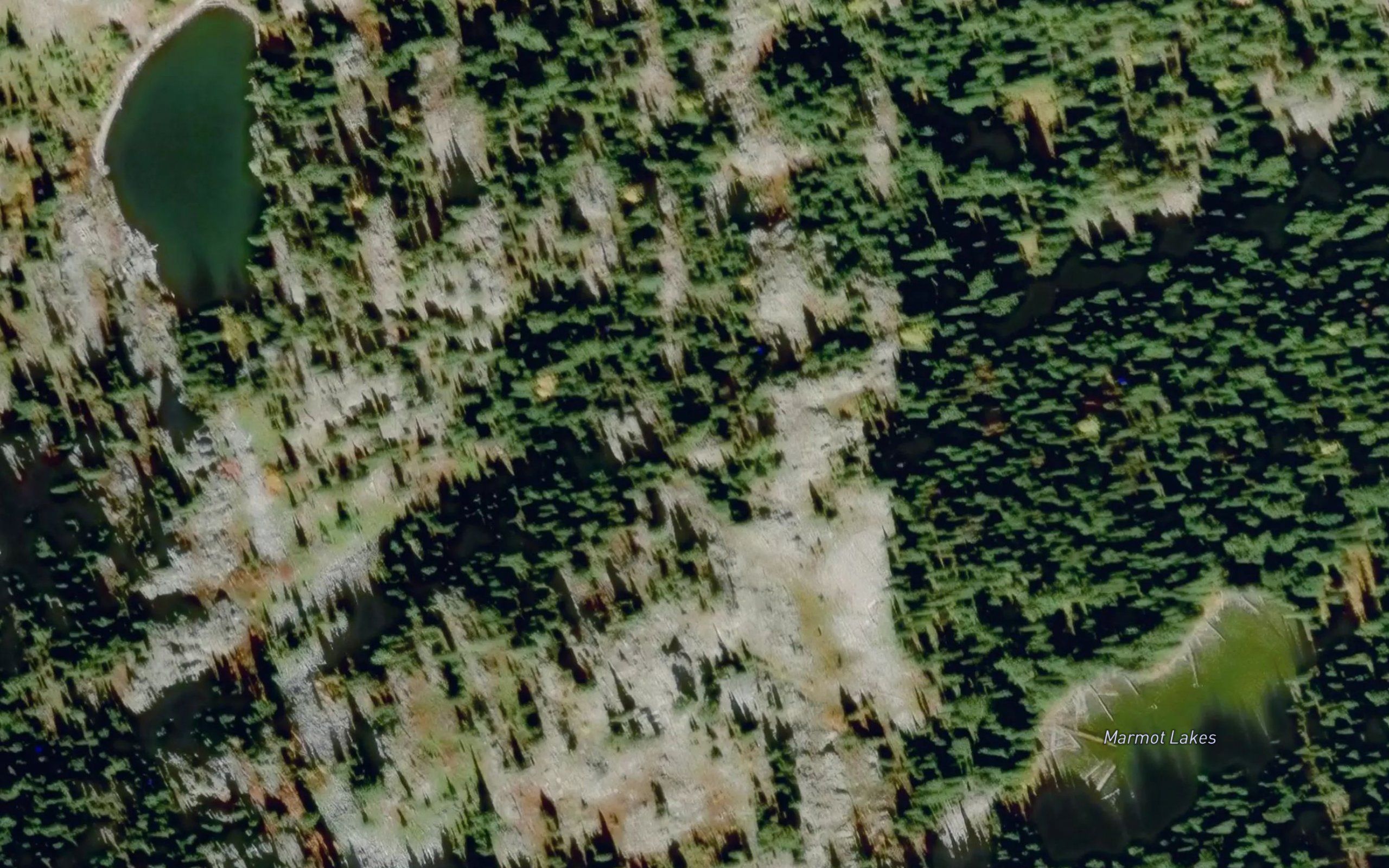 Marmot Lakes