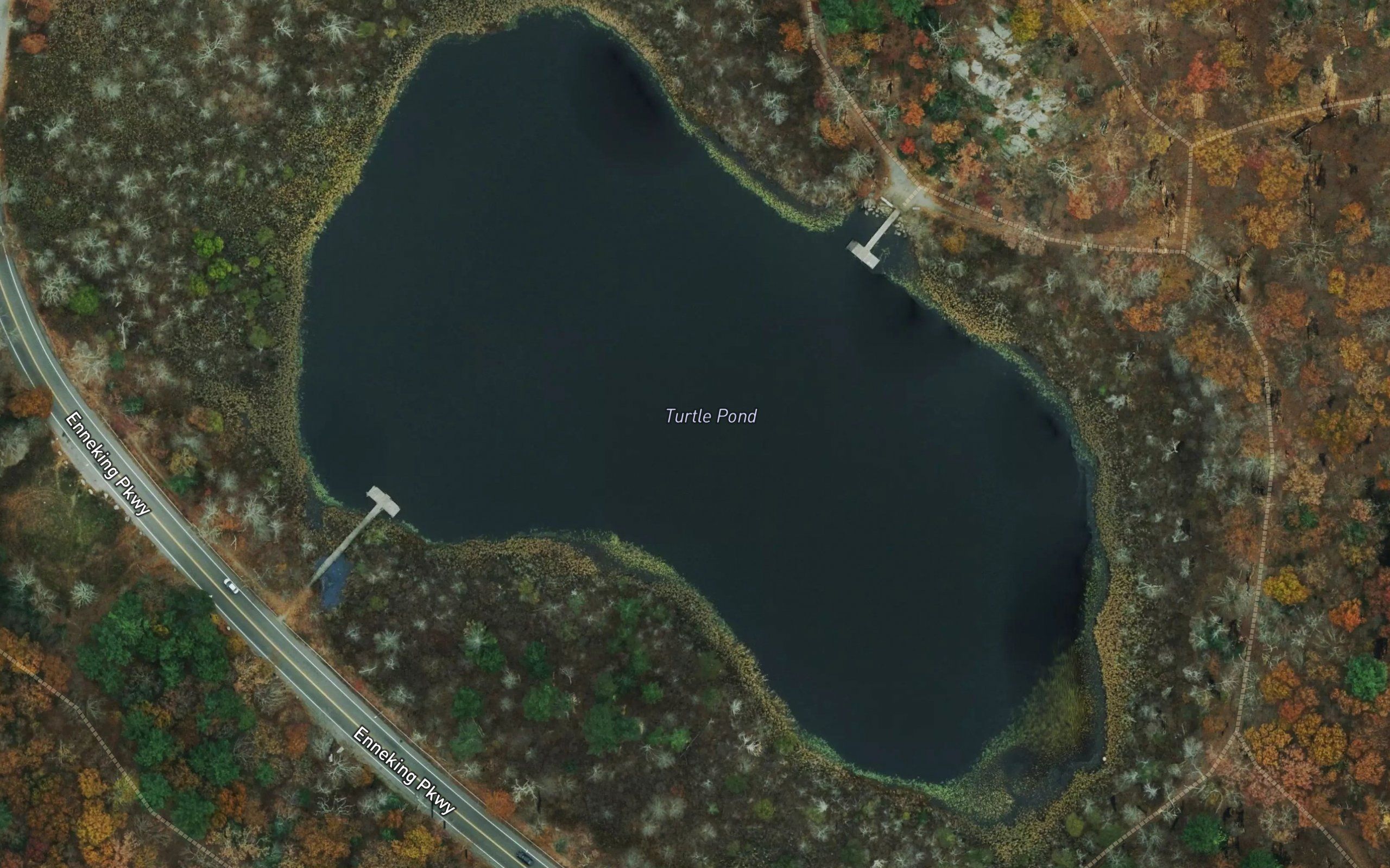 Turtle Pond