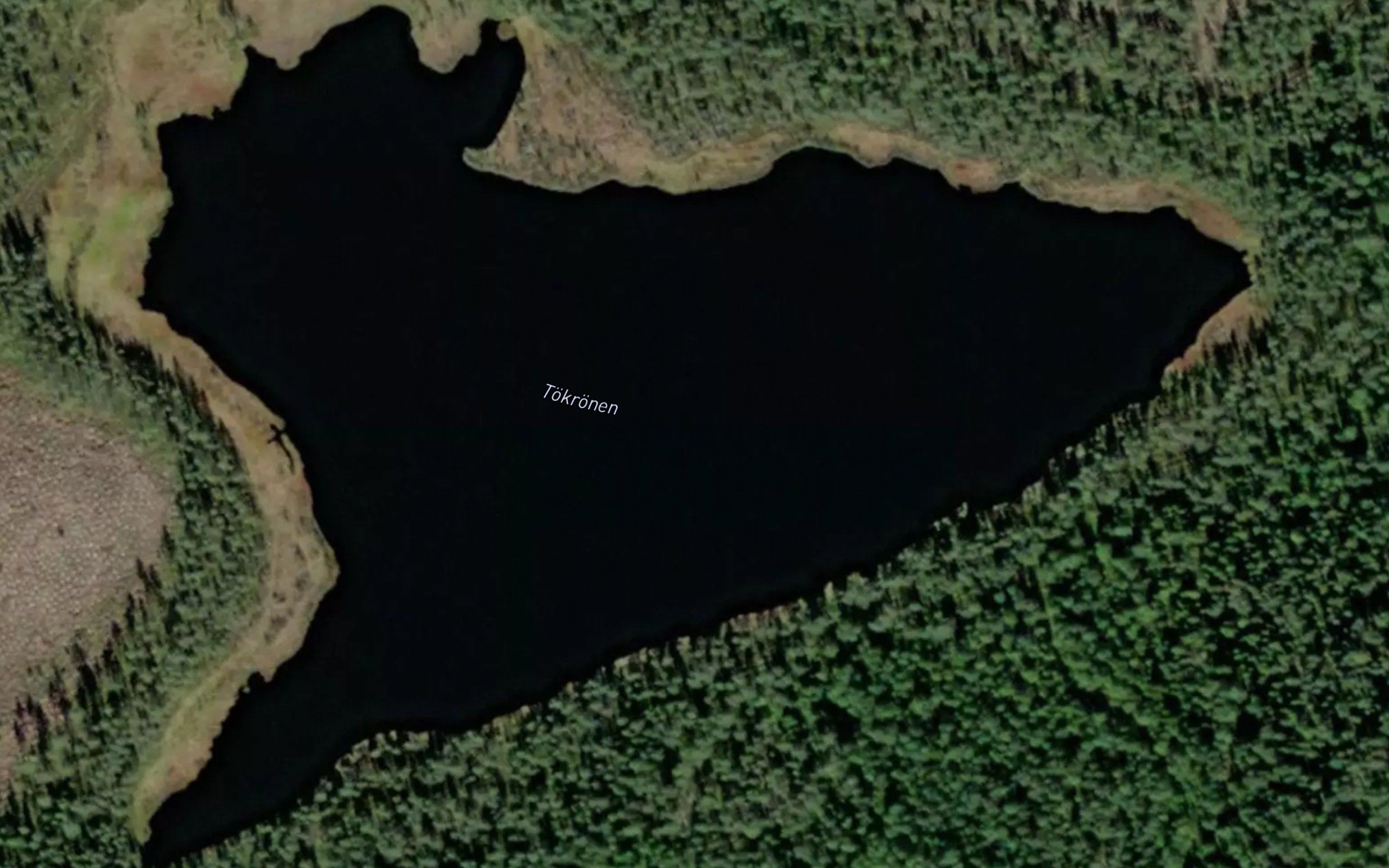 Tokronen