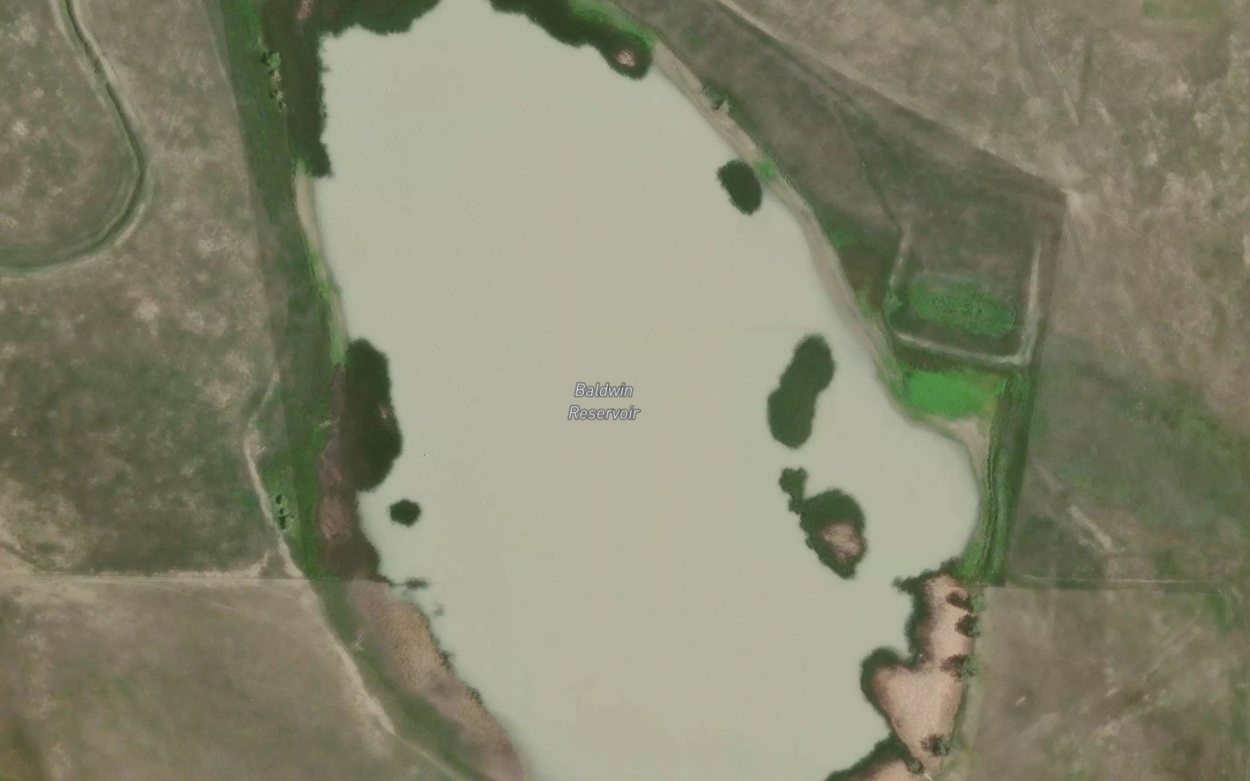 Satellite map of the Baldwin Reservoir