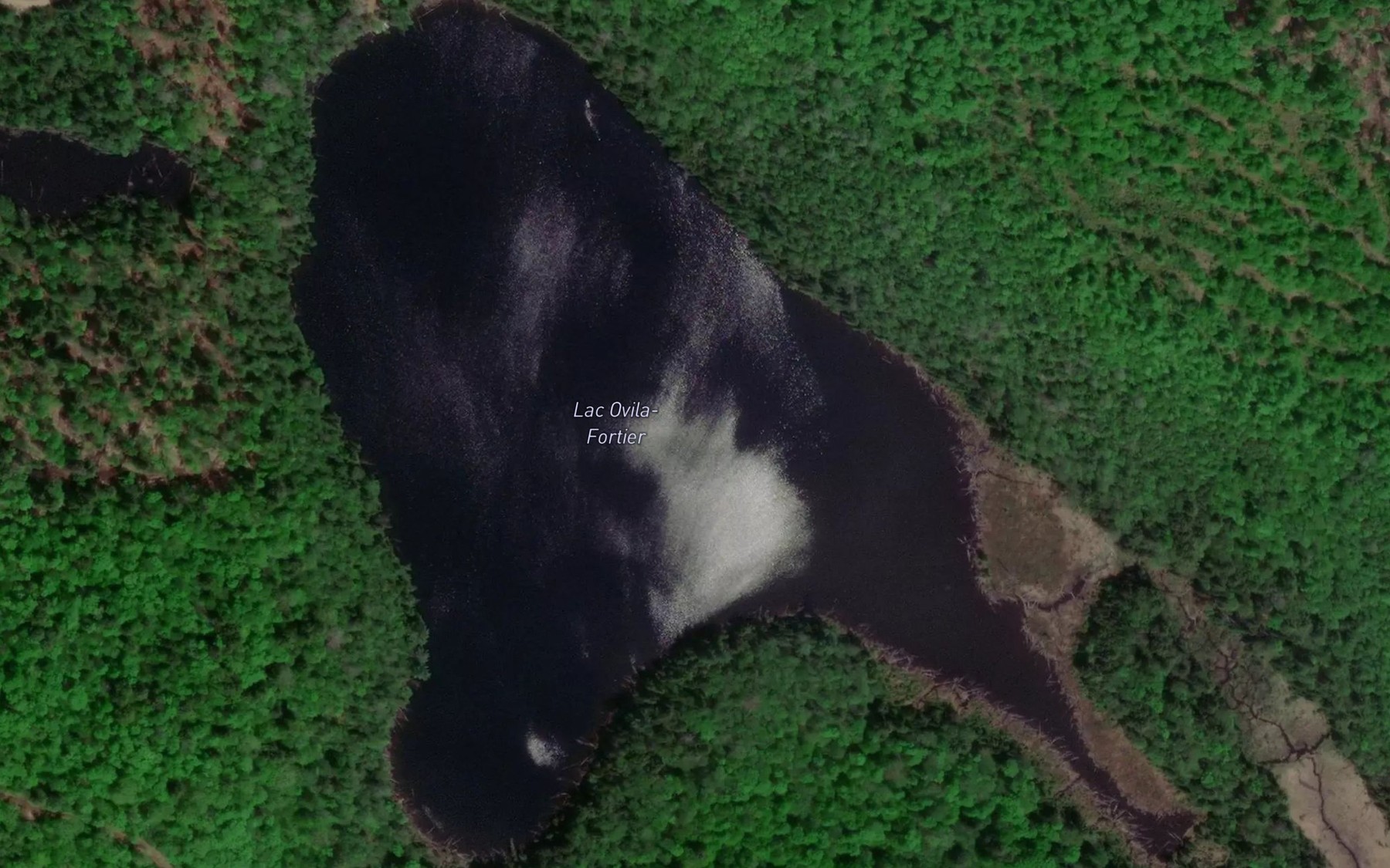 Satellite map of the Lac Ovila-Fortier