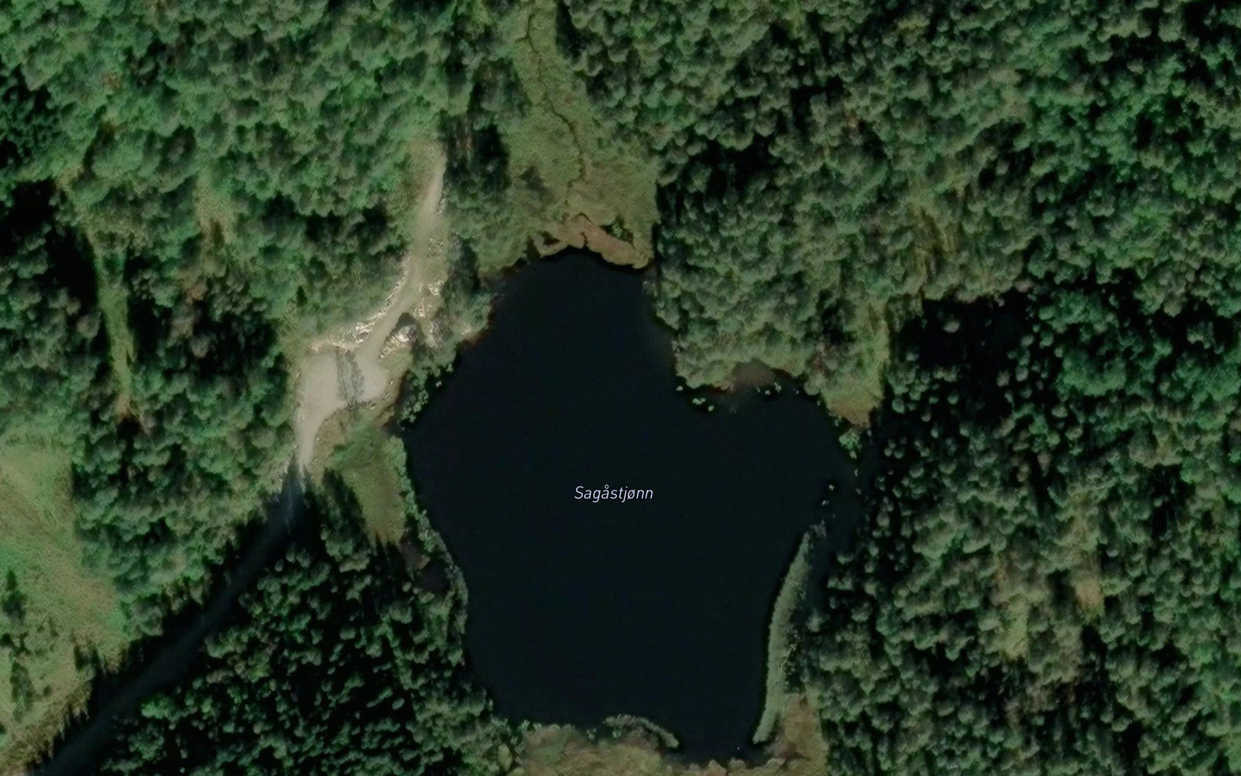 Sagastjonn