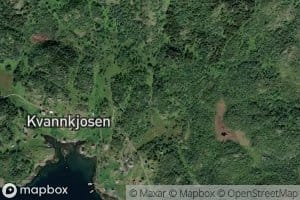 Rydningselva