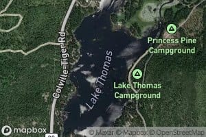 Lake Thomas
