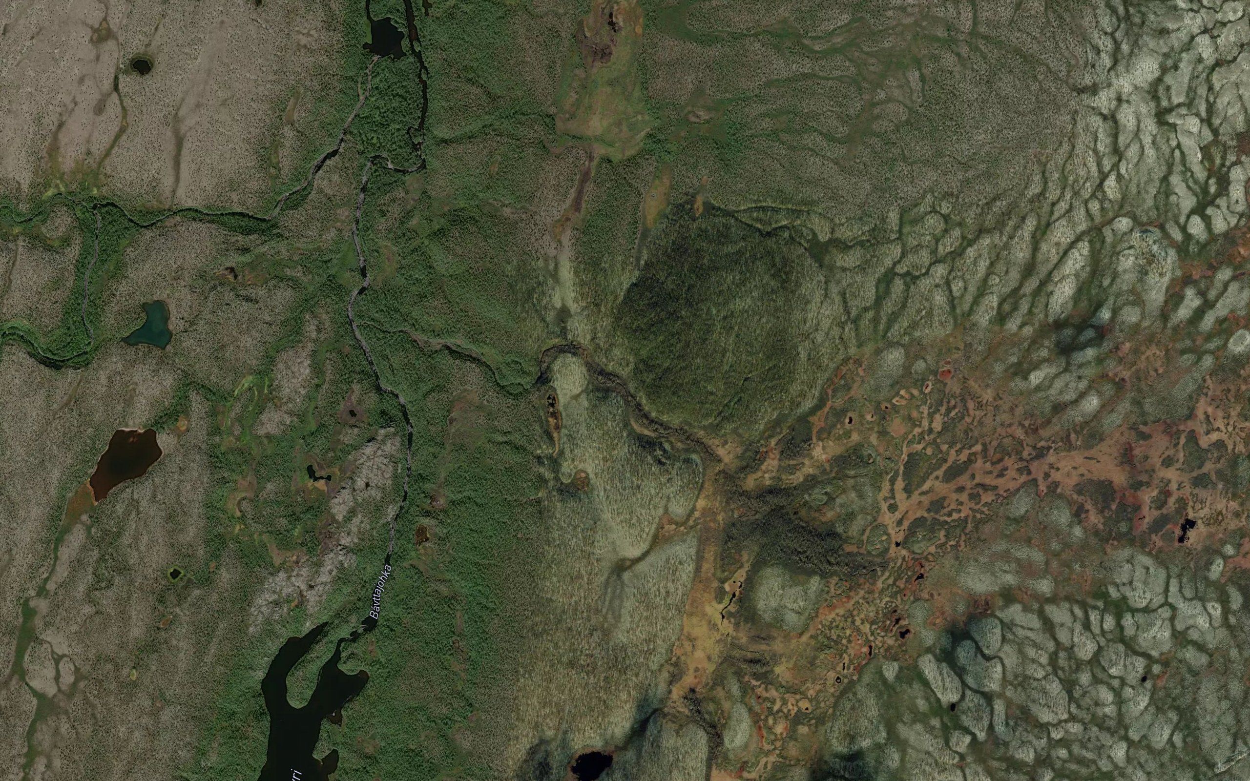 Askasjakka