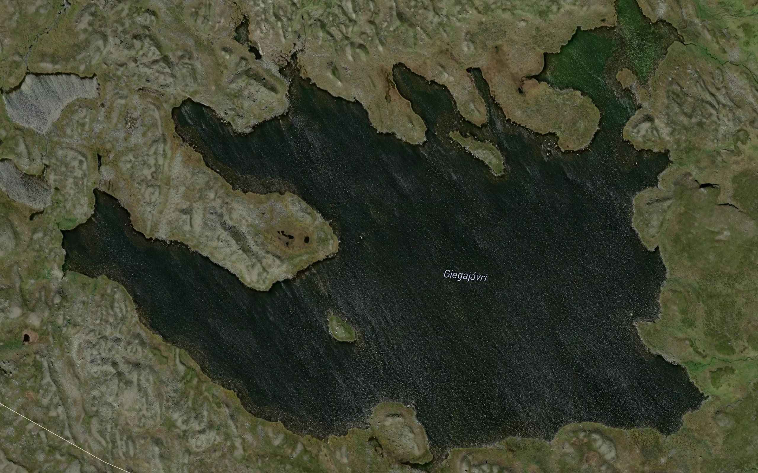 Giegajavri