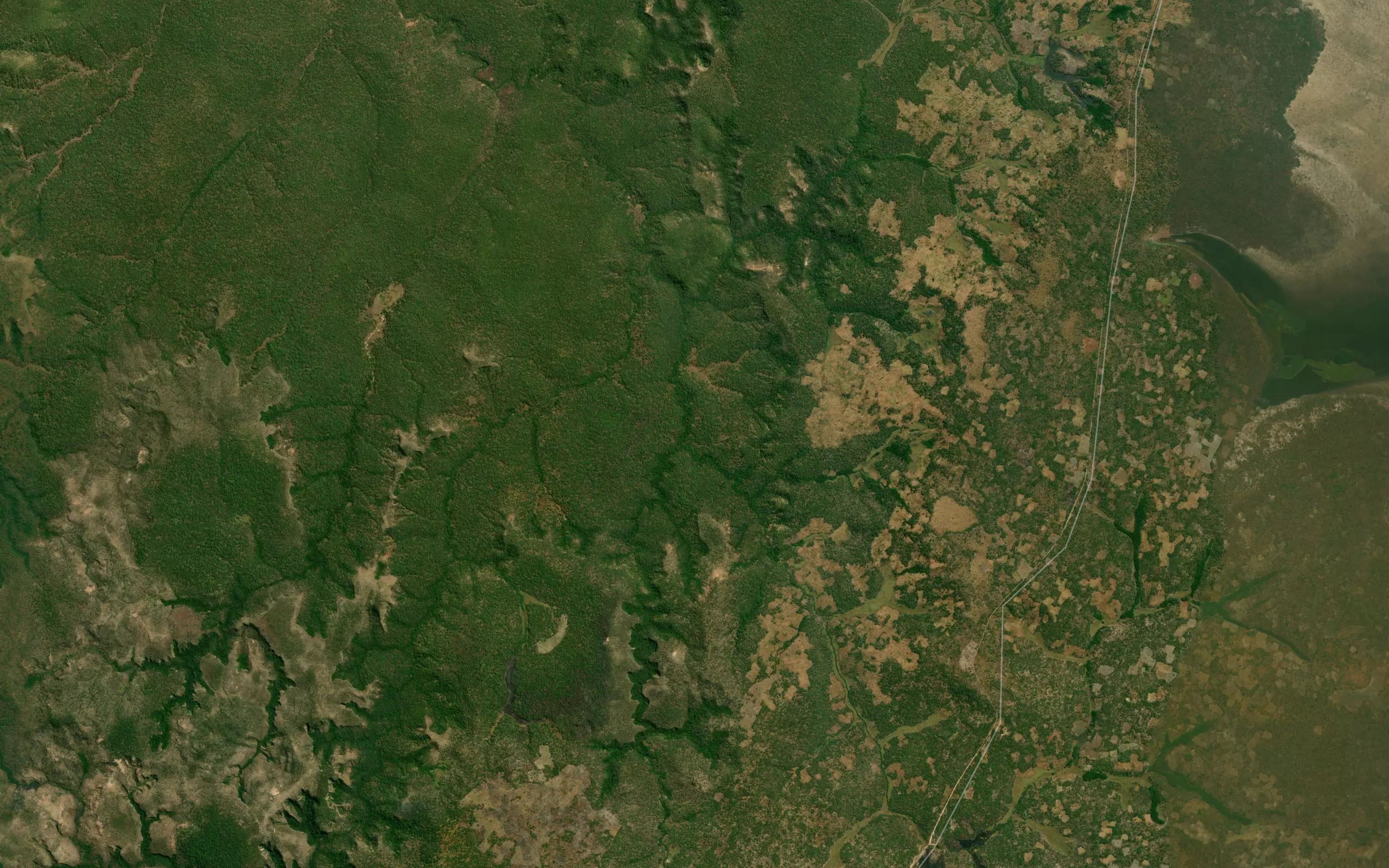 Mutende