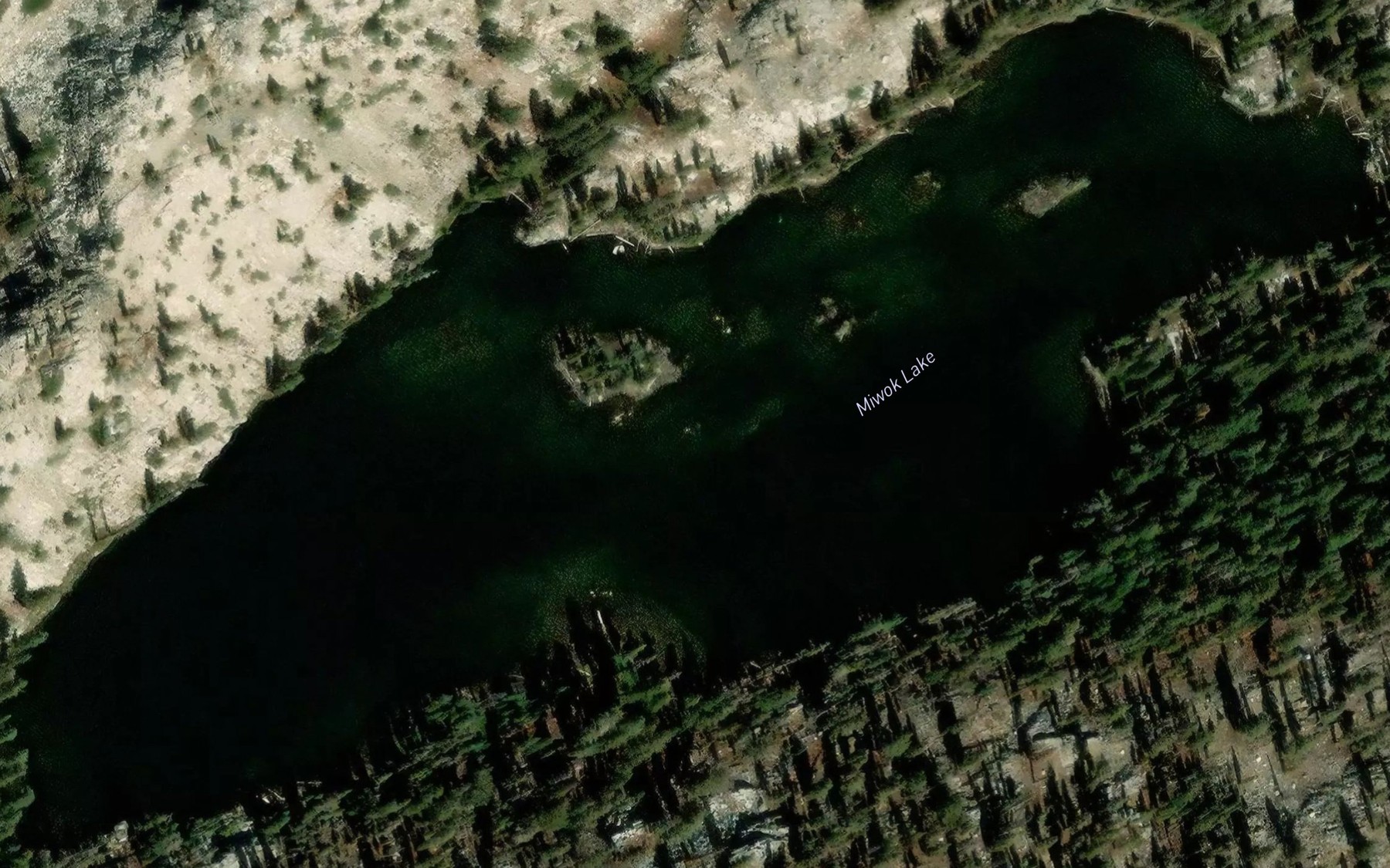 Satellite map of the Miwok Lake