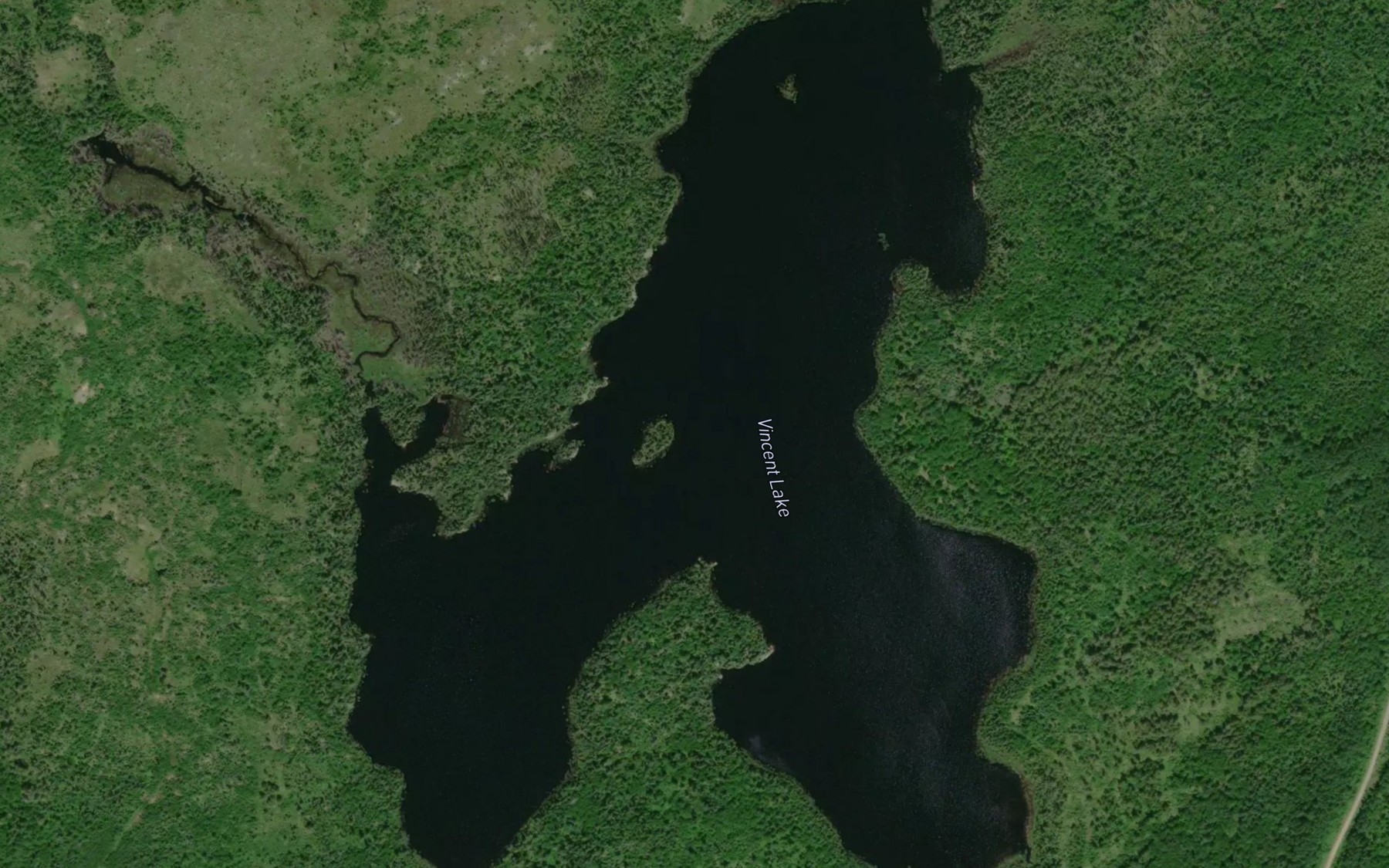 Satellite map of the Vincent Lake