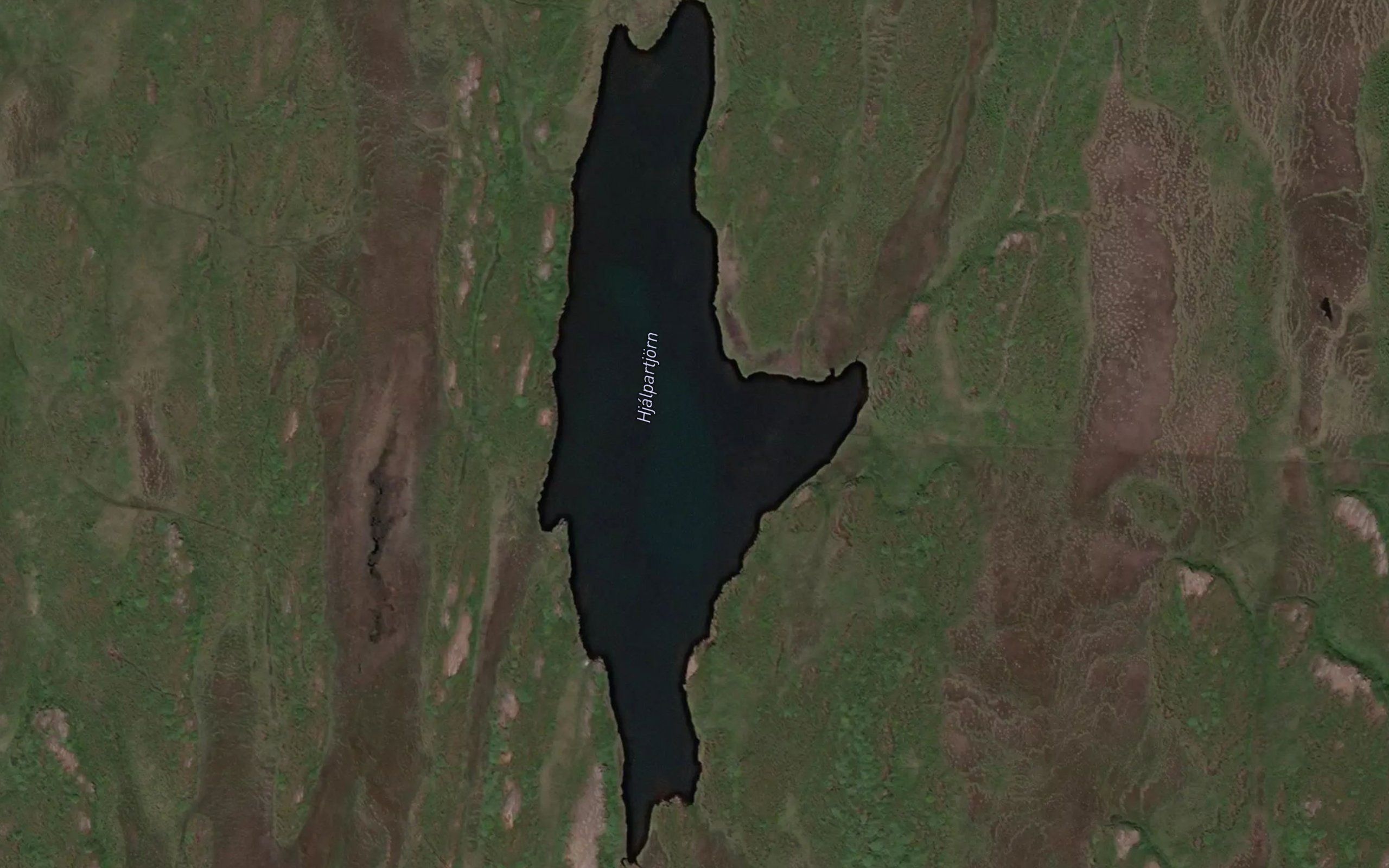 Selvatn