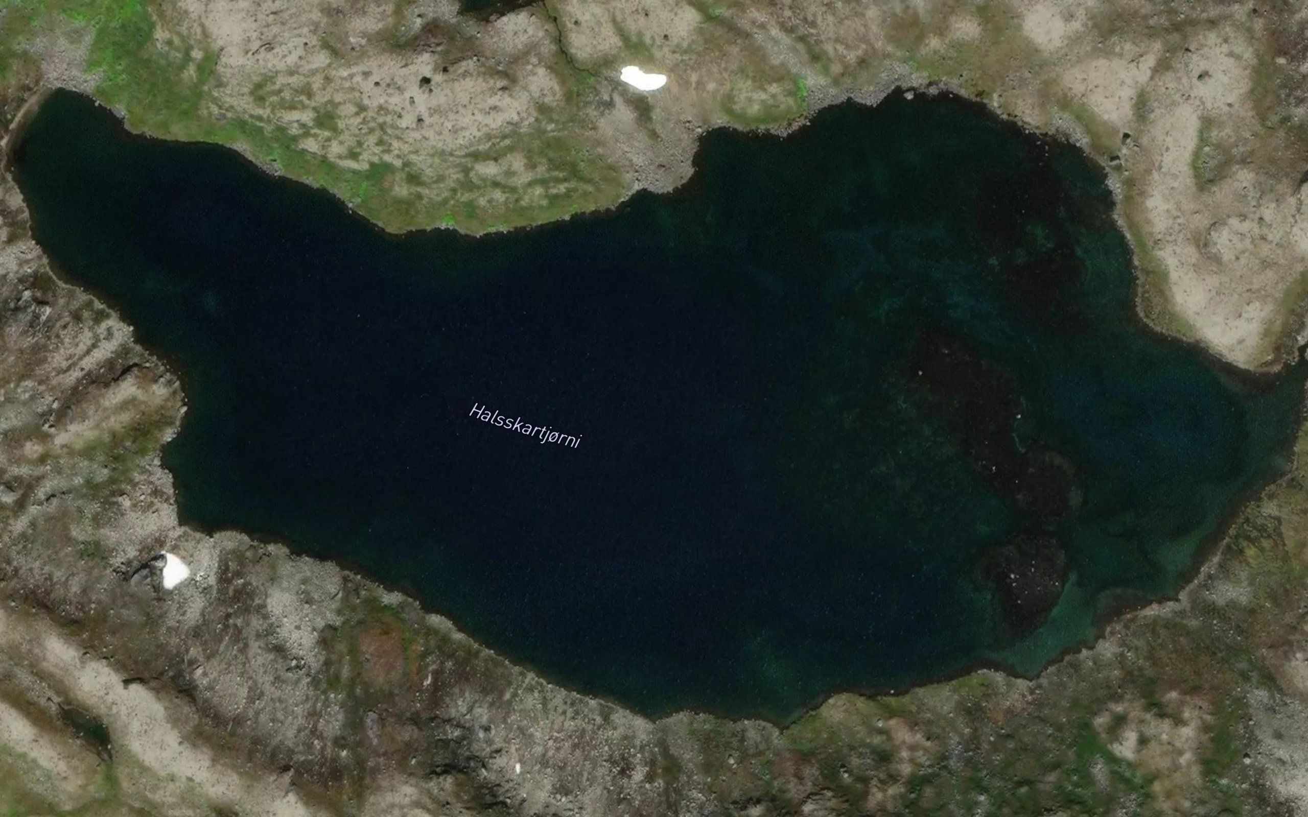 Halsskardtjorni