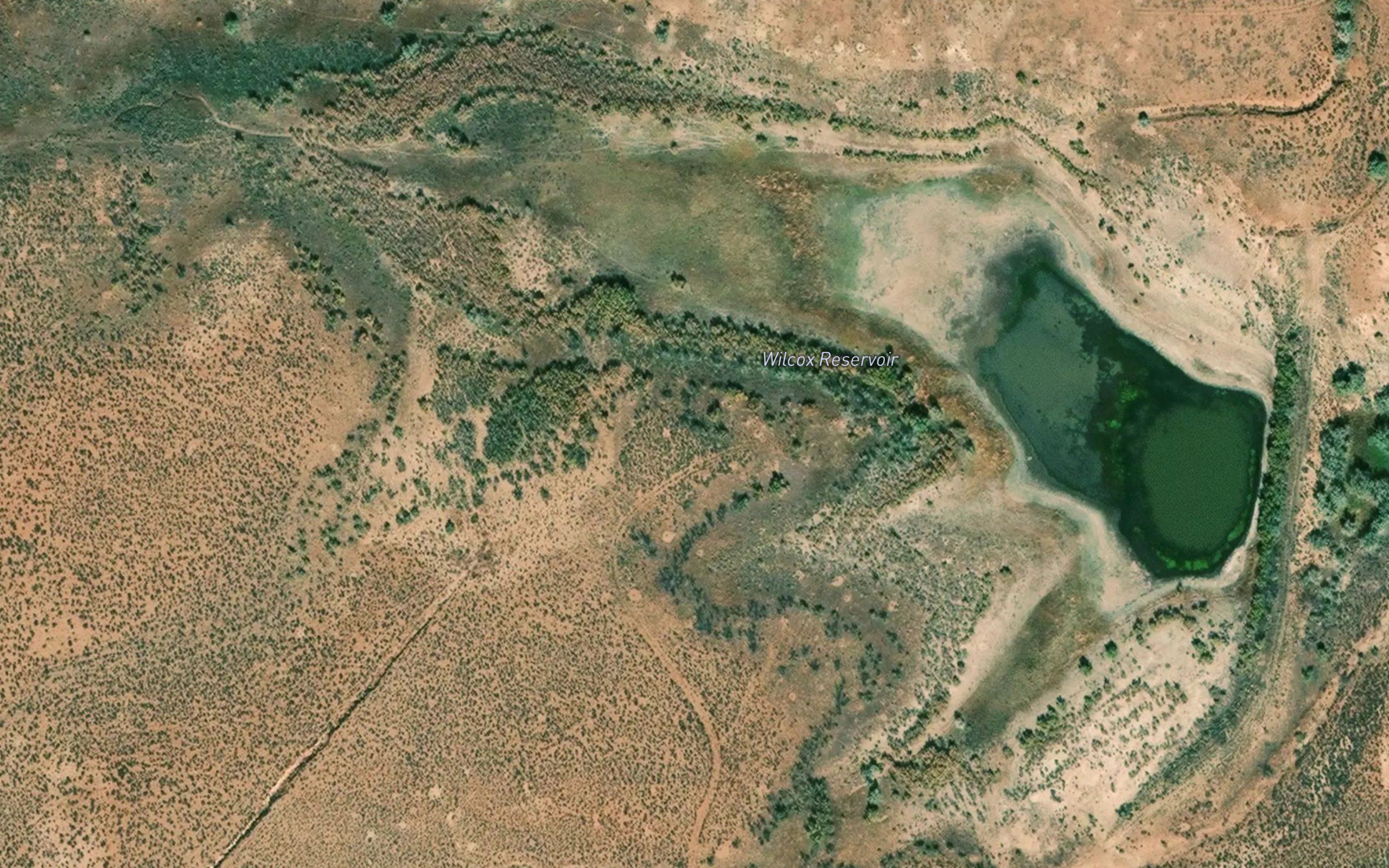 Wilcox Reservoir