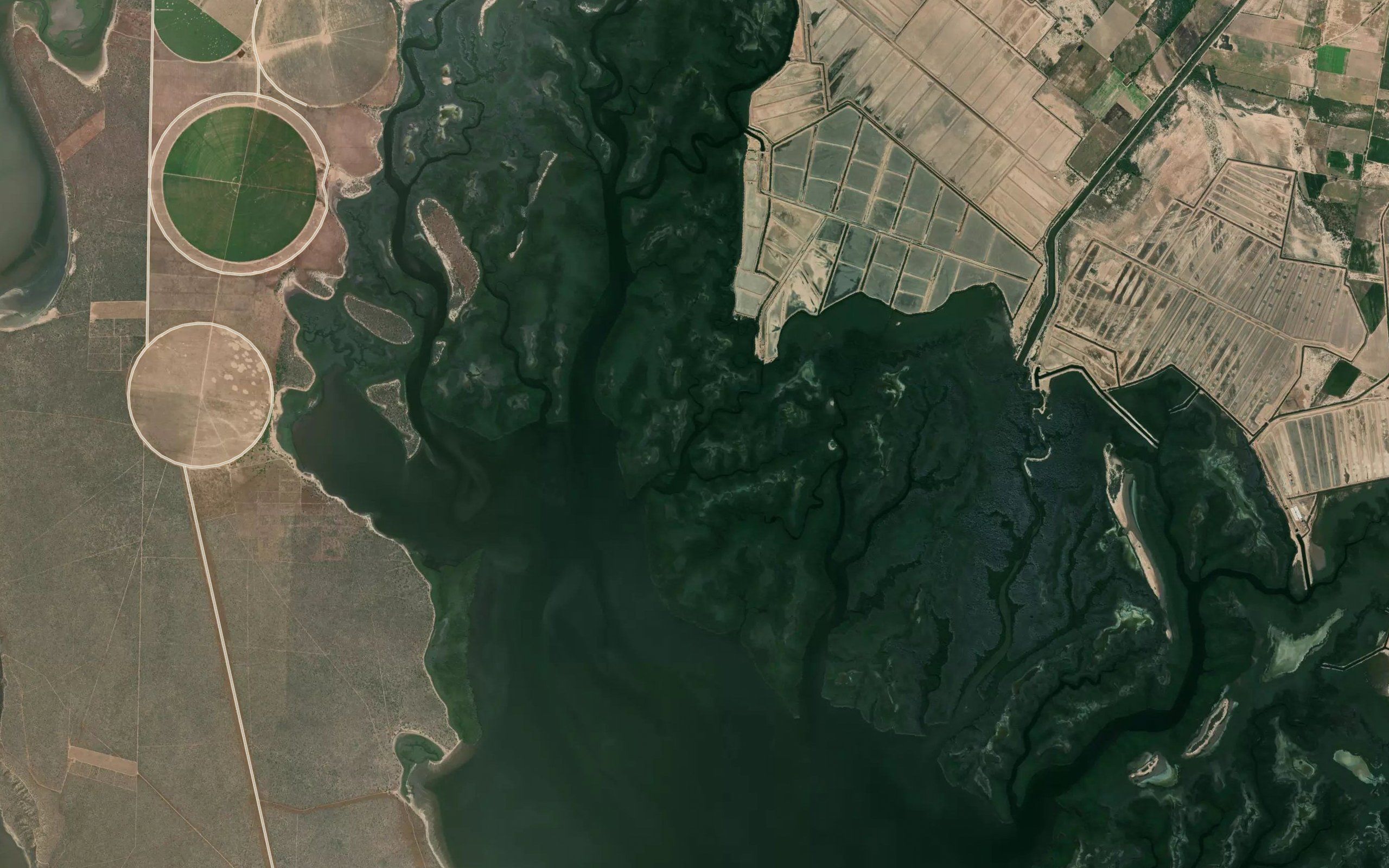 Estero Rielecito