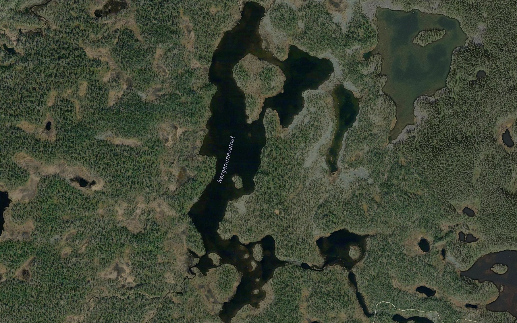 Satellite map of the Ivargammevatnet