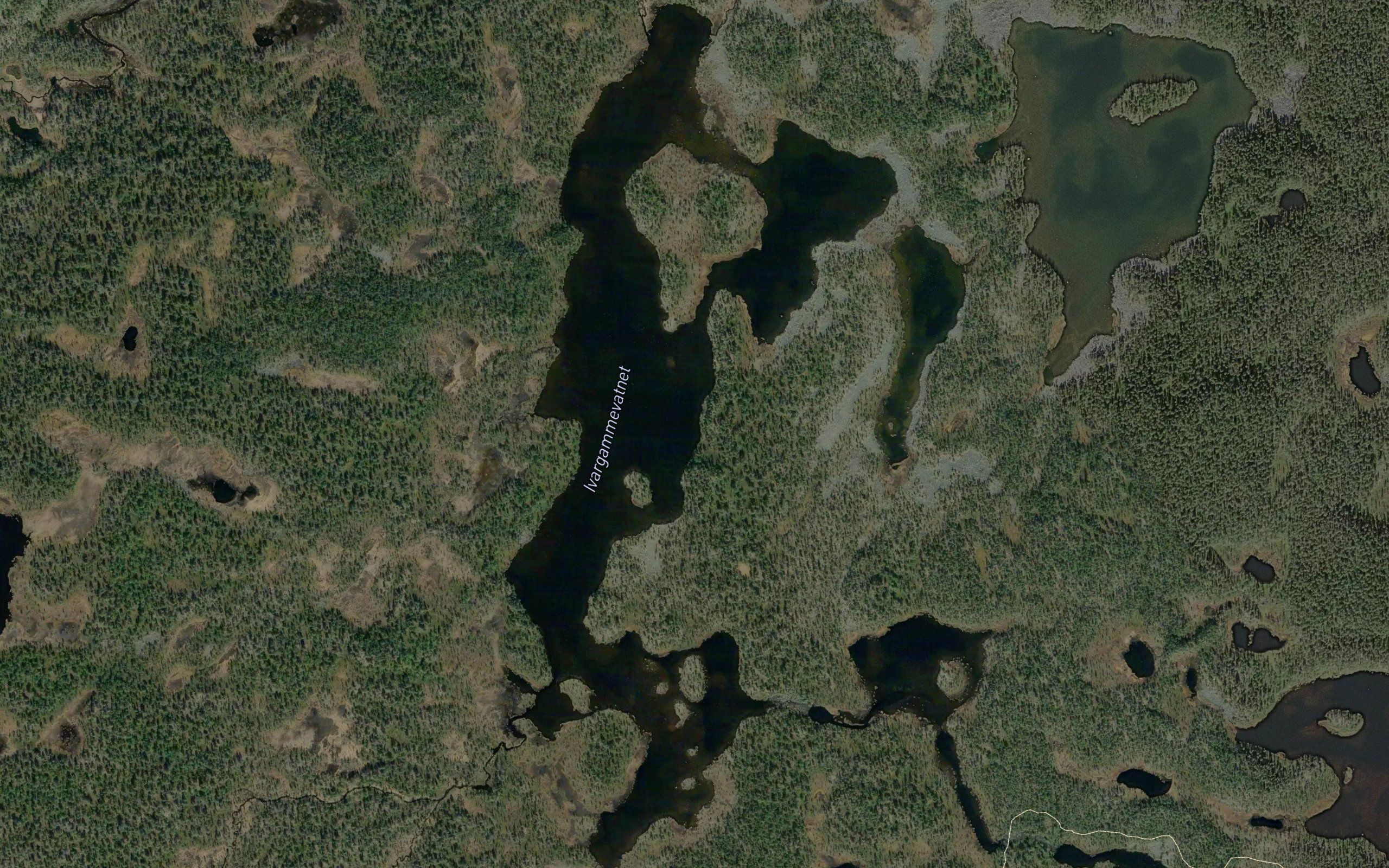 Ivargammevatnet