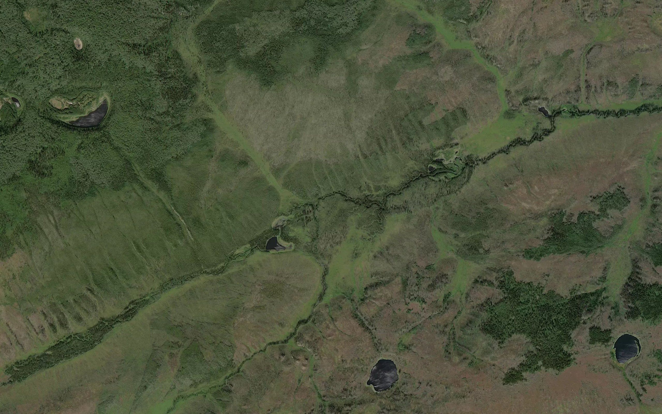West Fork Flat Creek