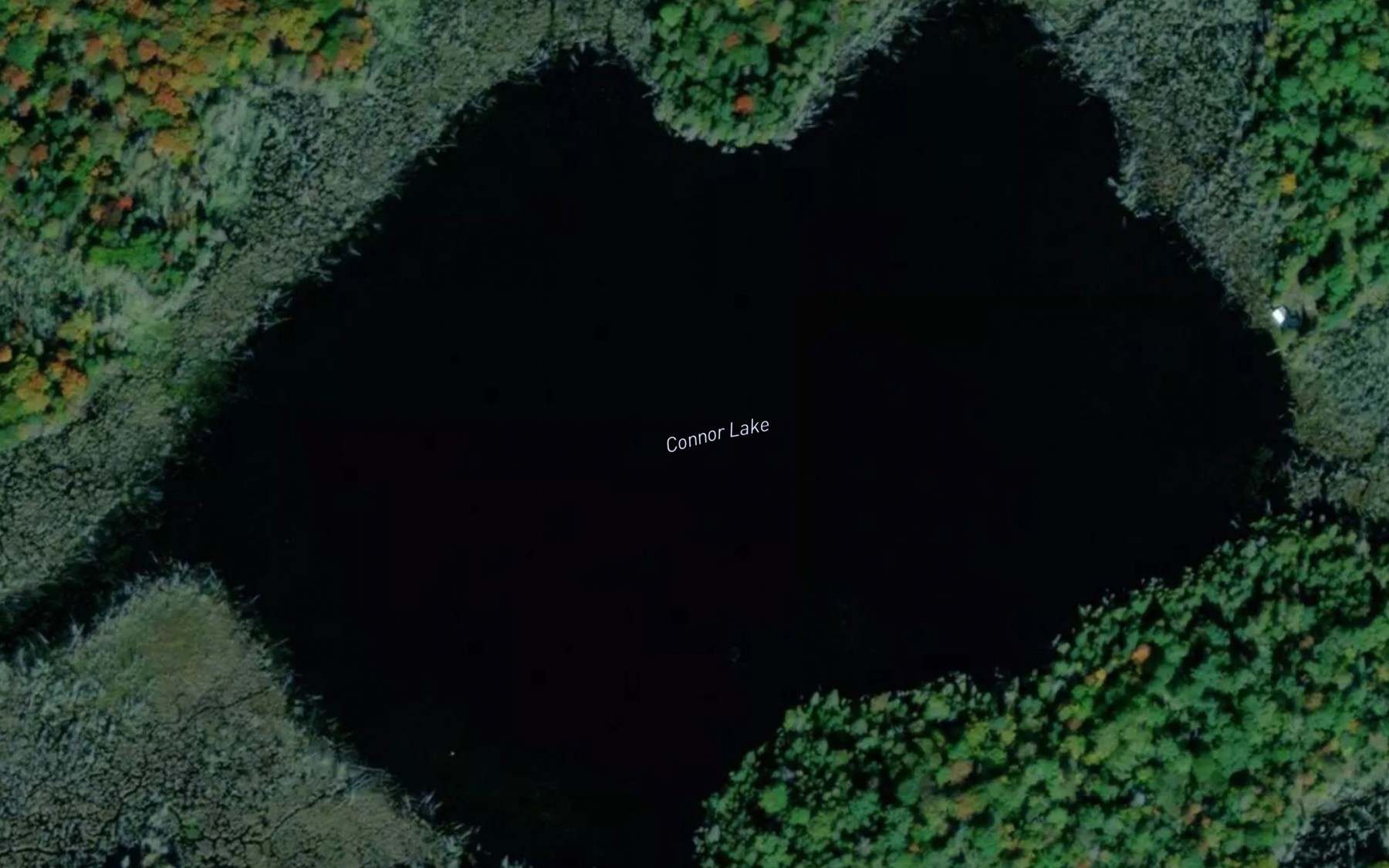 Satellite map of the Connor Lake