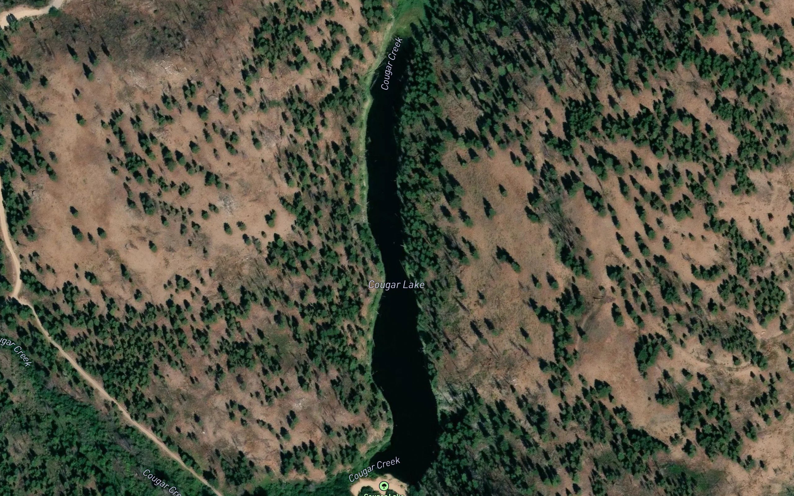 Cougar Lake