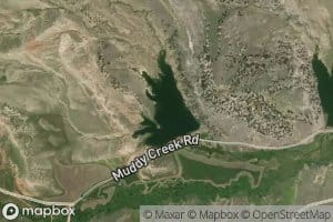 Patch Reservoir