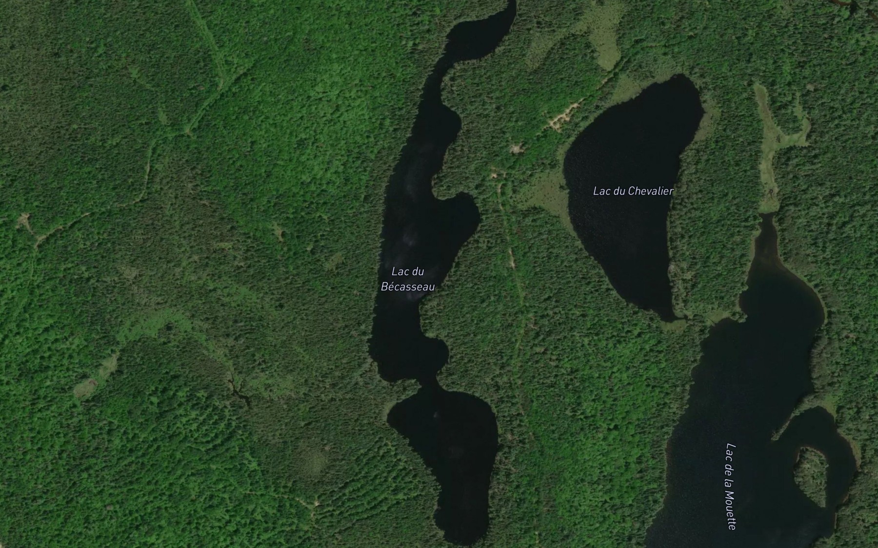 Satellite map of the Lac du Becasseau