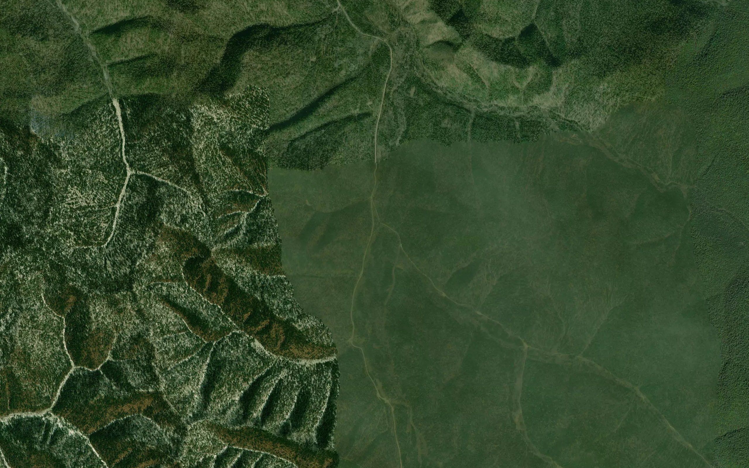 Medvezhiy