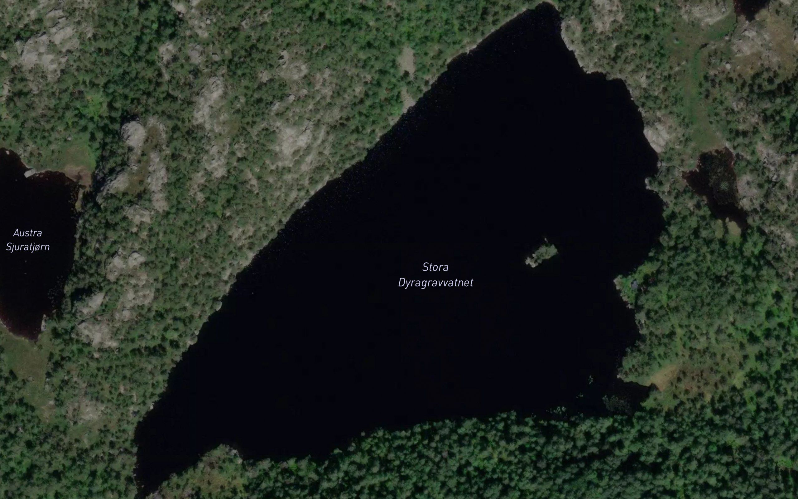 Dyragravvatnet,store