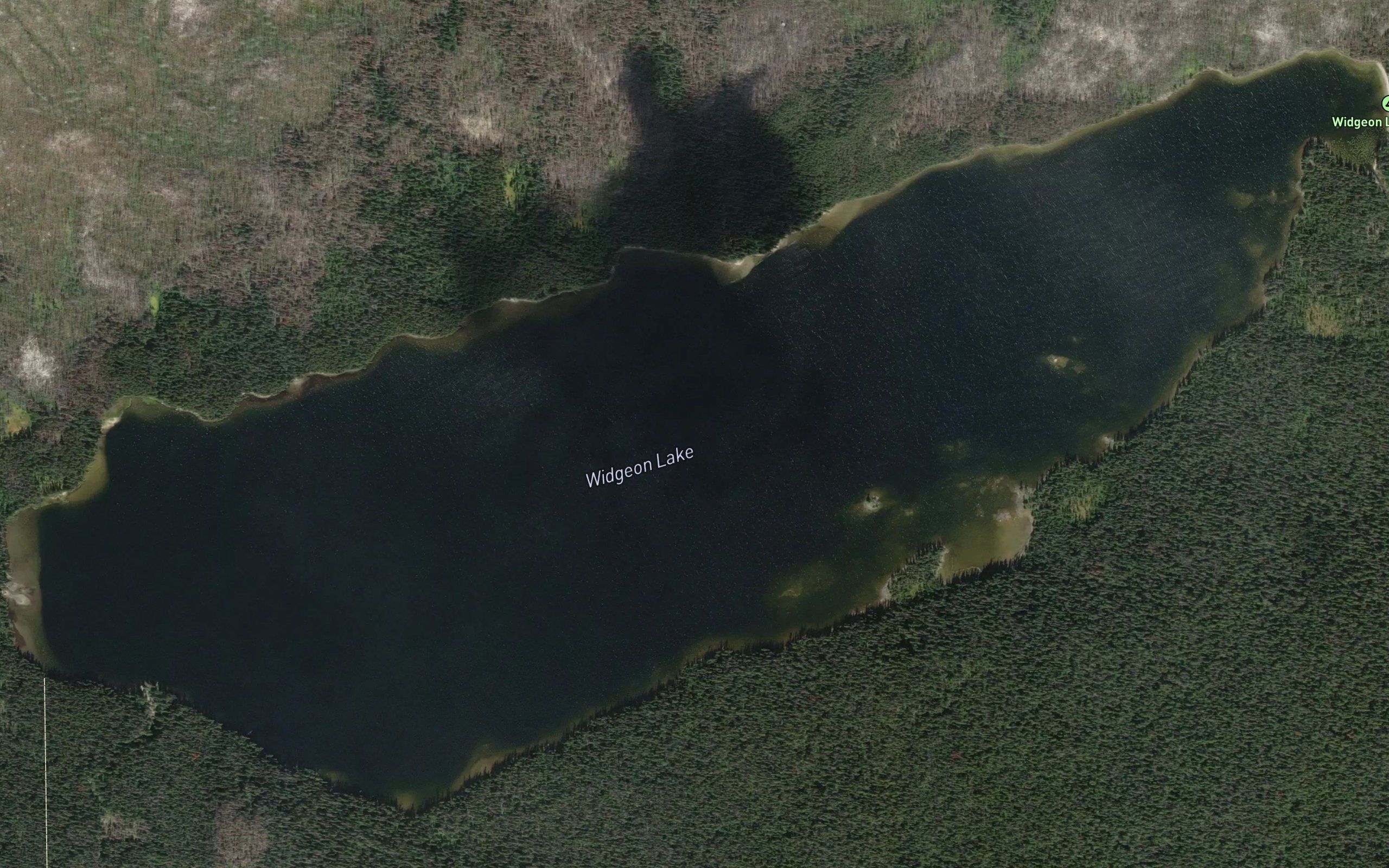 Widgeon Lake