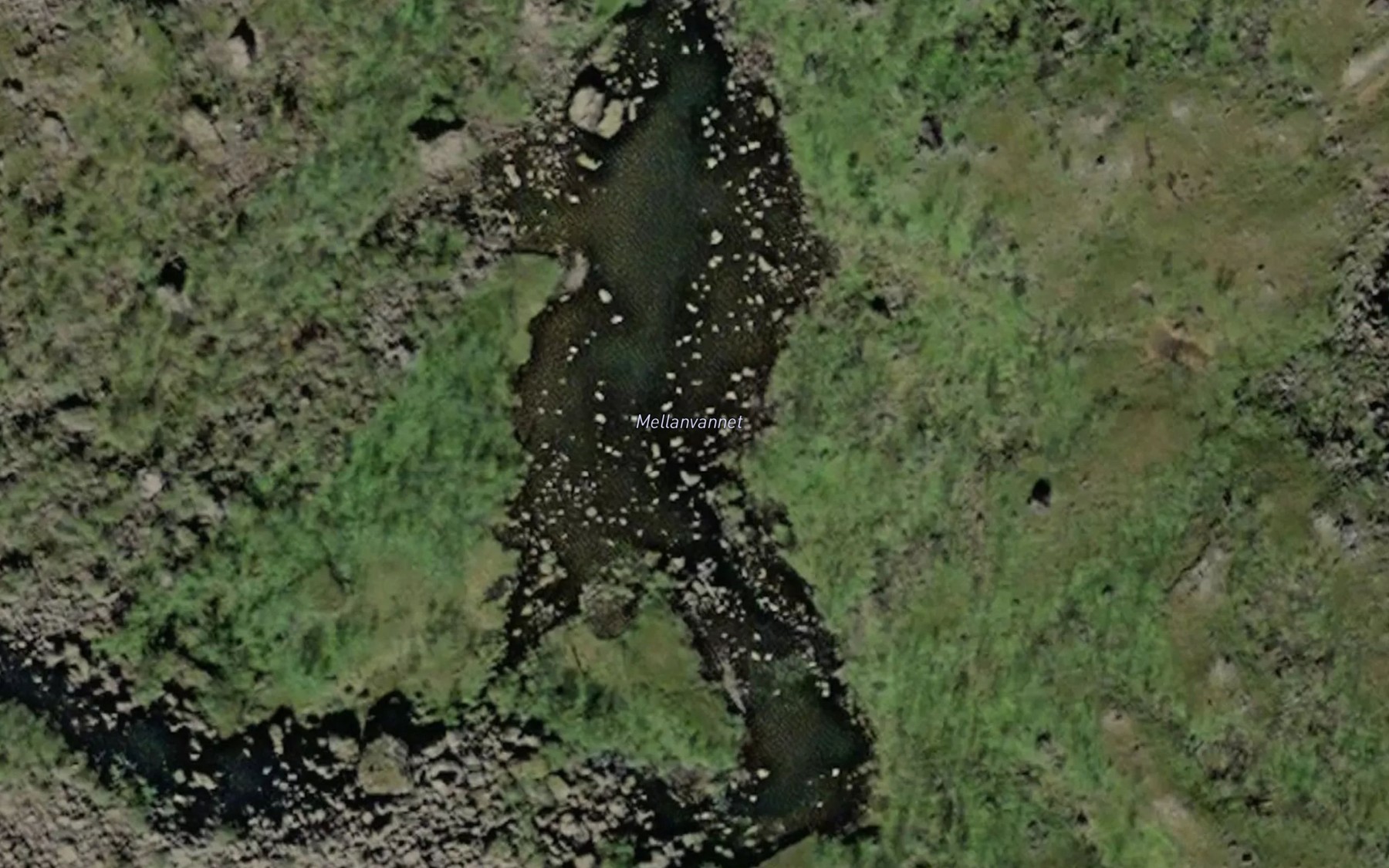 Satellite map of the Mellanvatnet