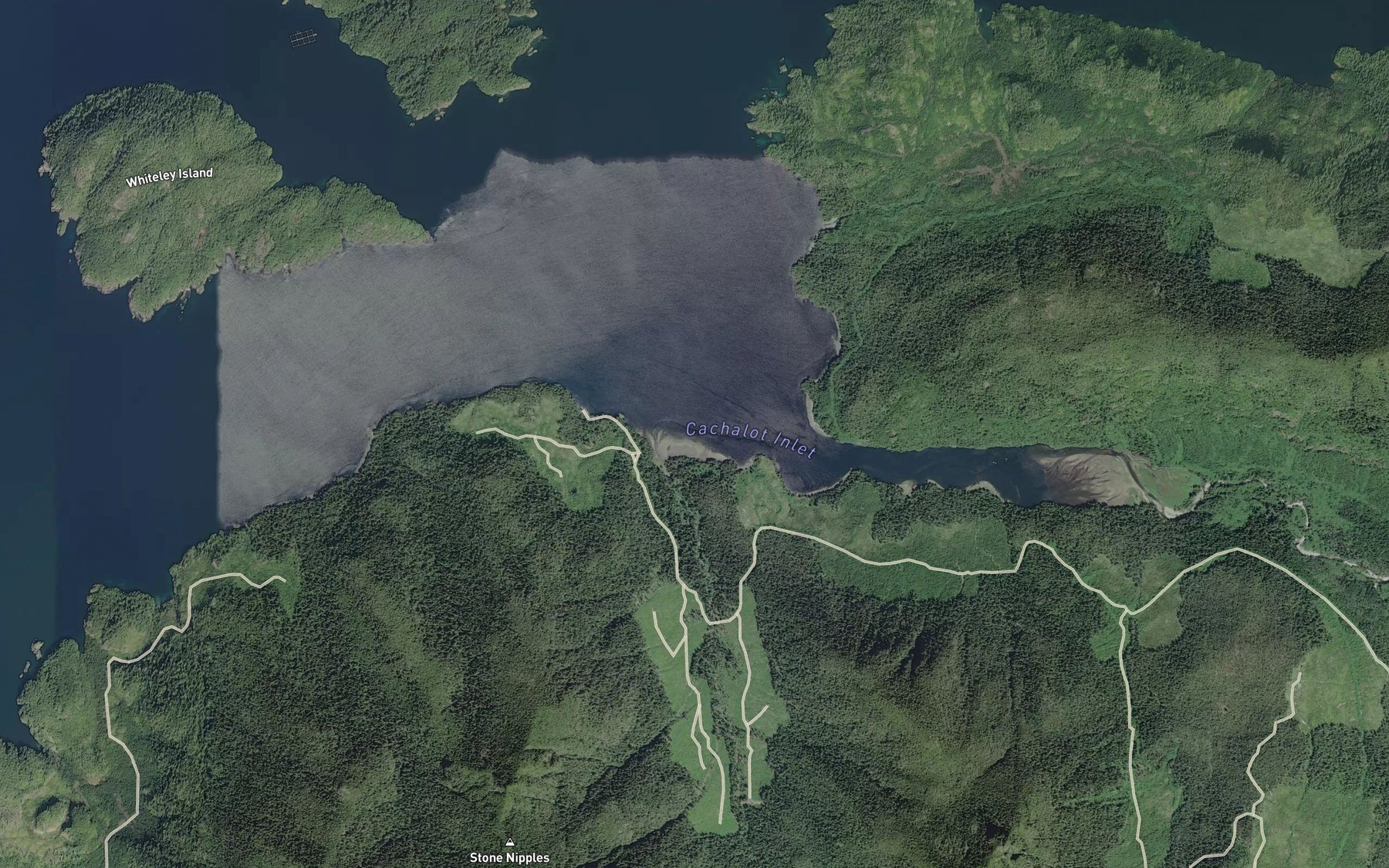 Satellite map of the Cachalot Inlet
