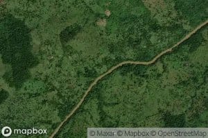 Rapido Piedra de Mesa