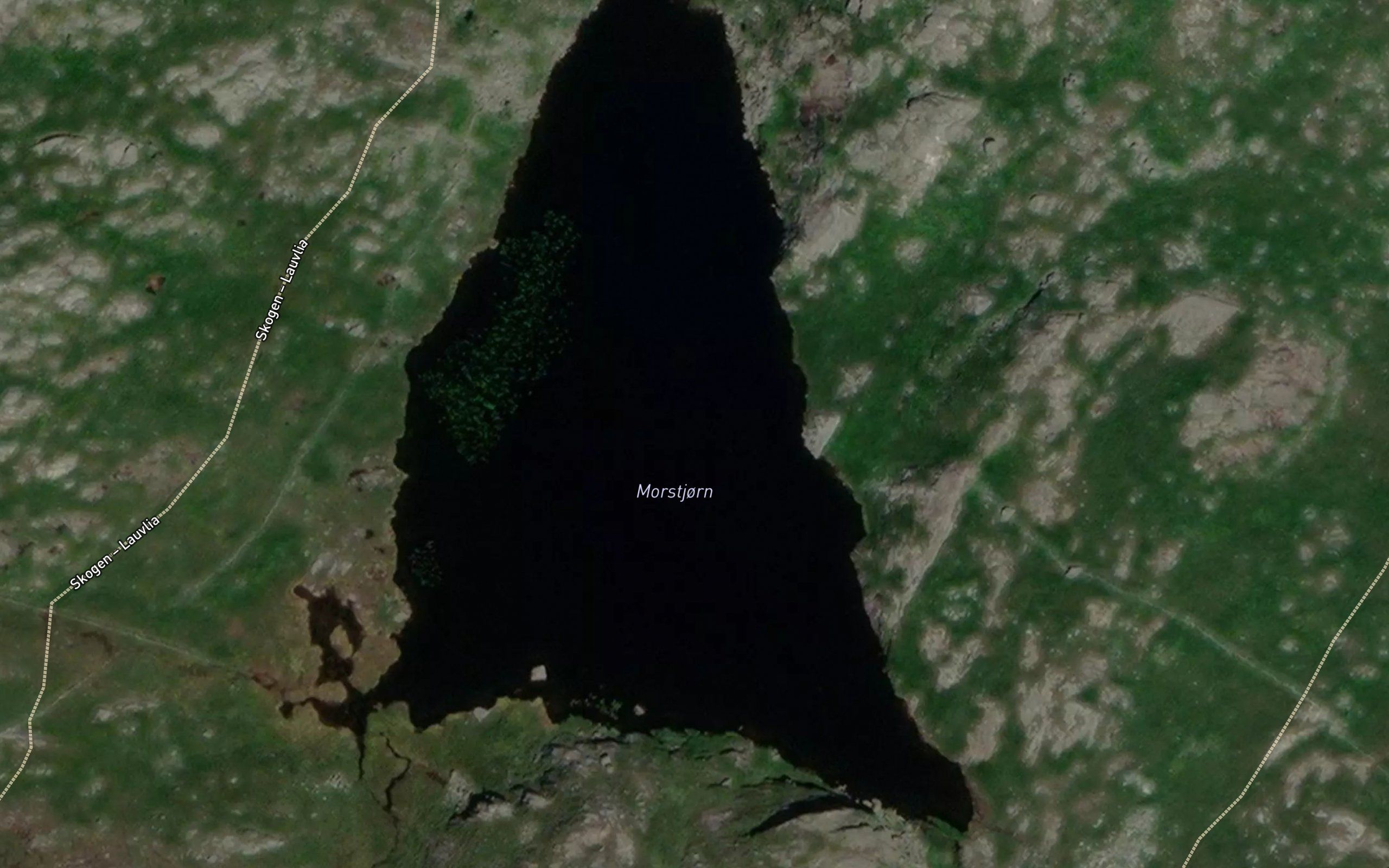 Morstjorn