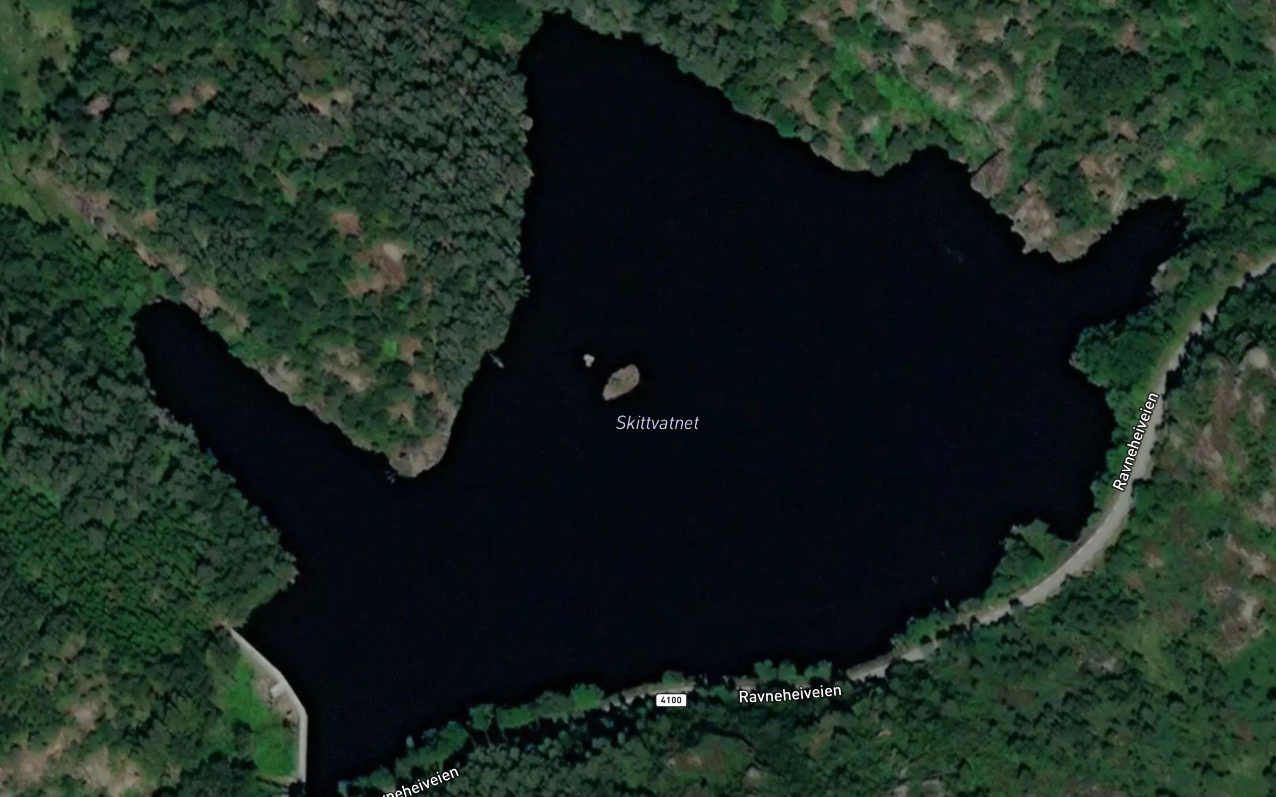 Skidvann