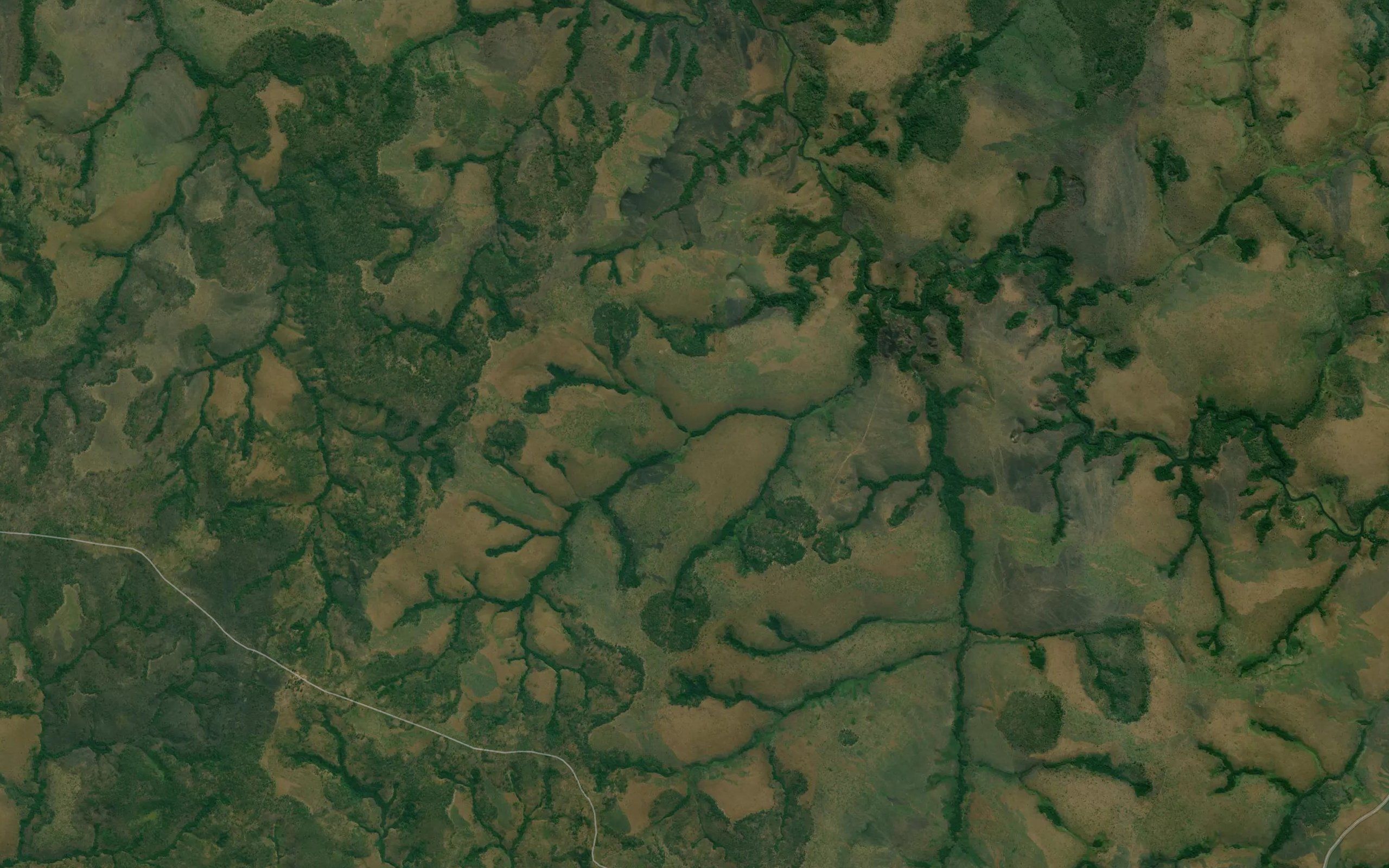 Tandauangi