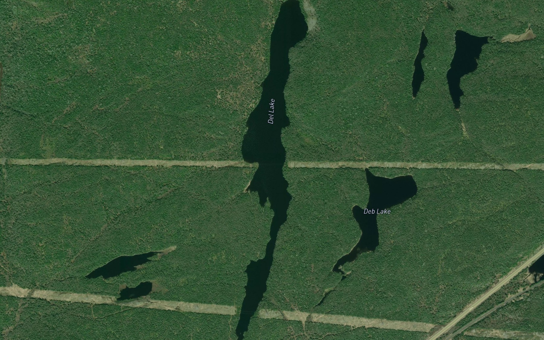 Satellite map of the Del Lake