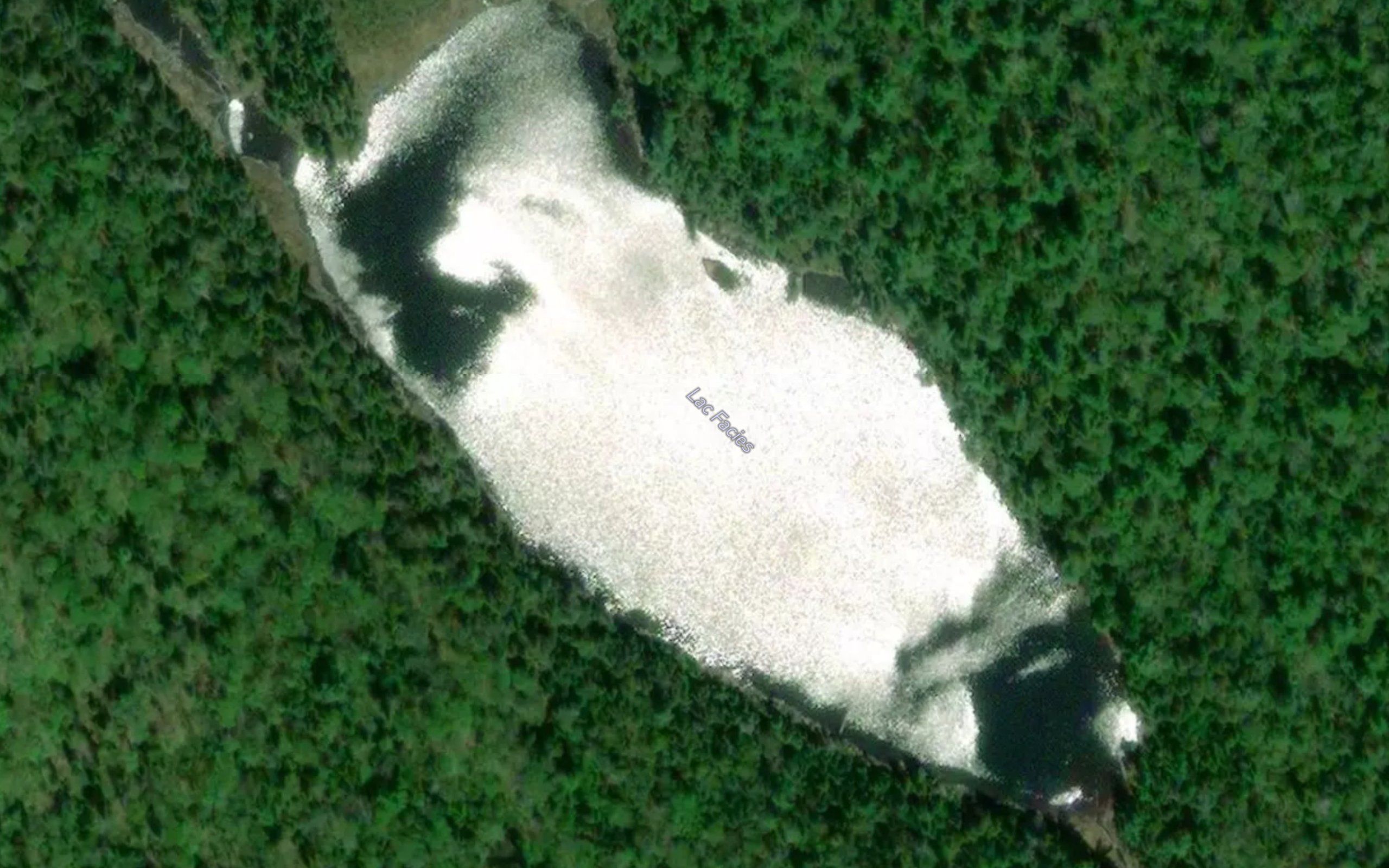 Lac Facies