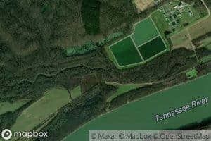 Beaver Dam Creek Springs