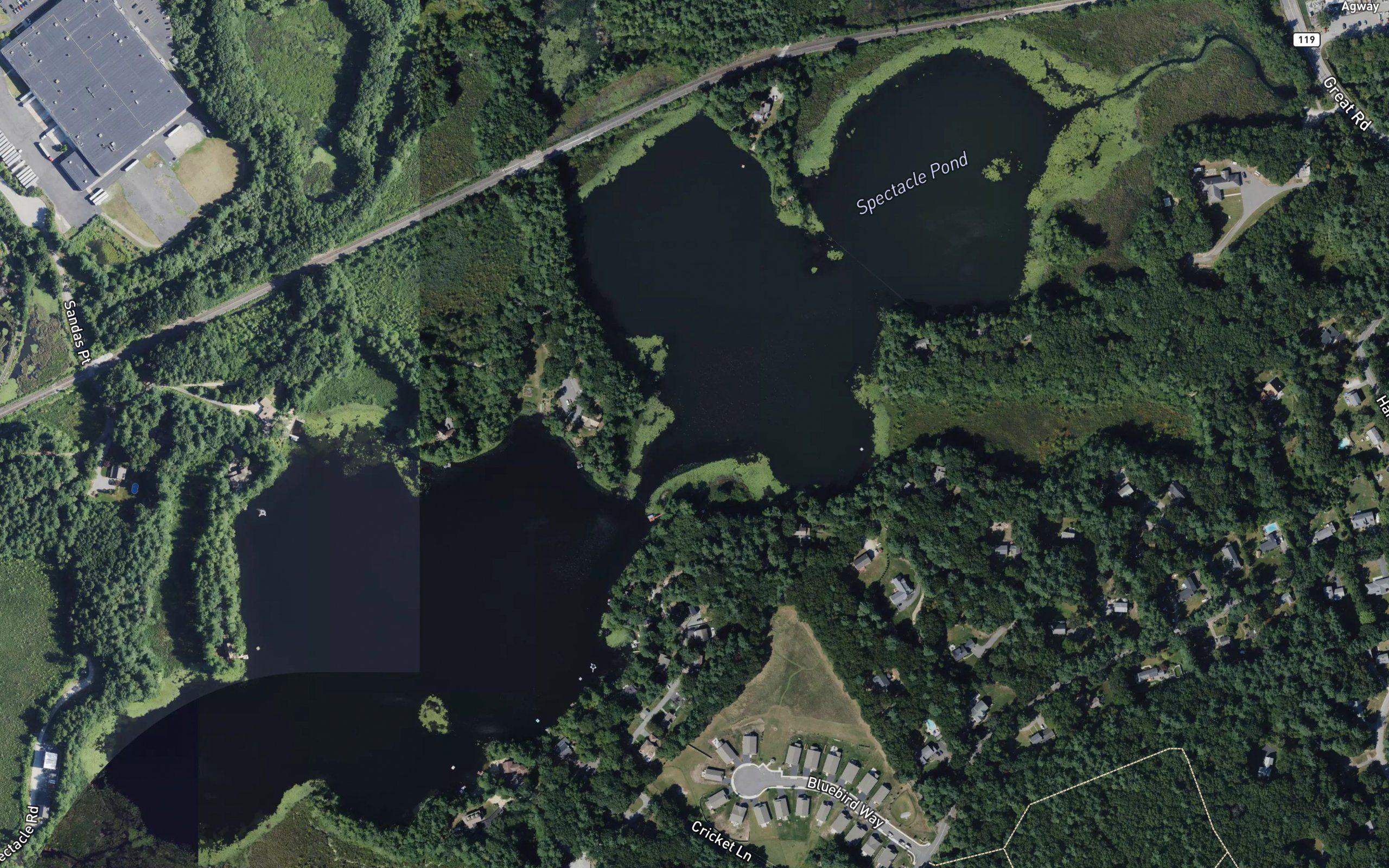 Spectacle Pond