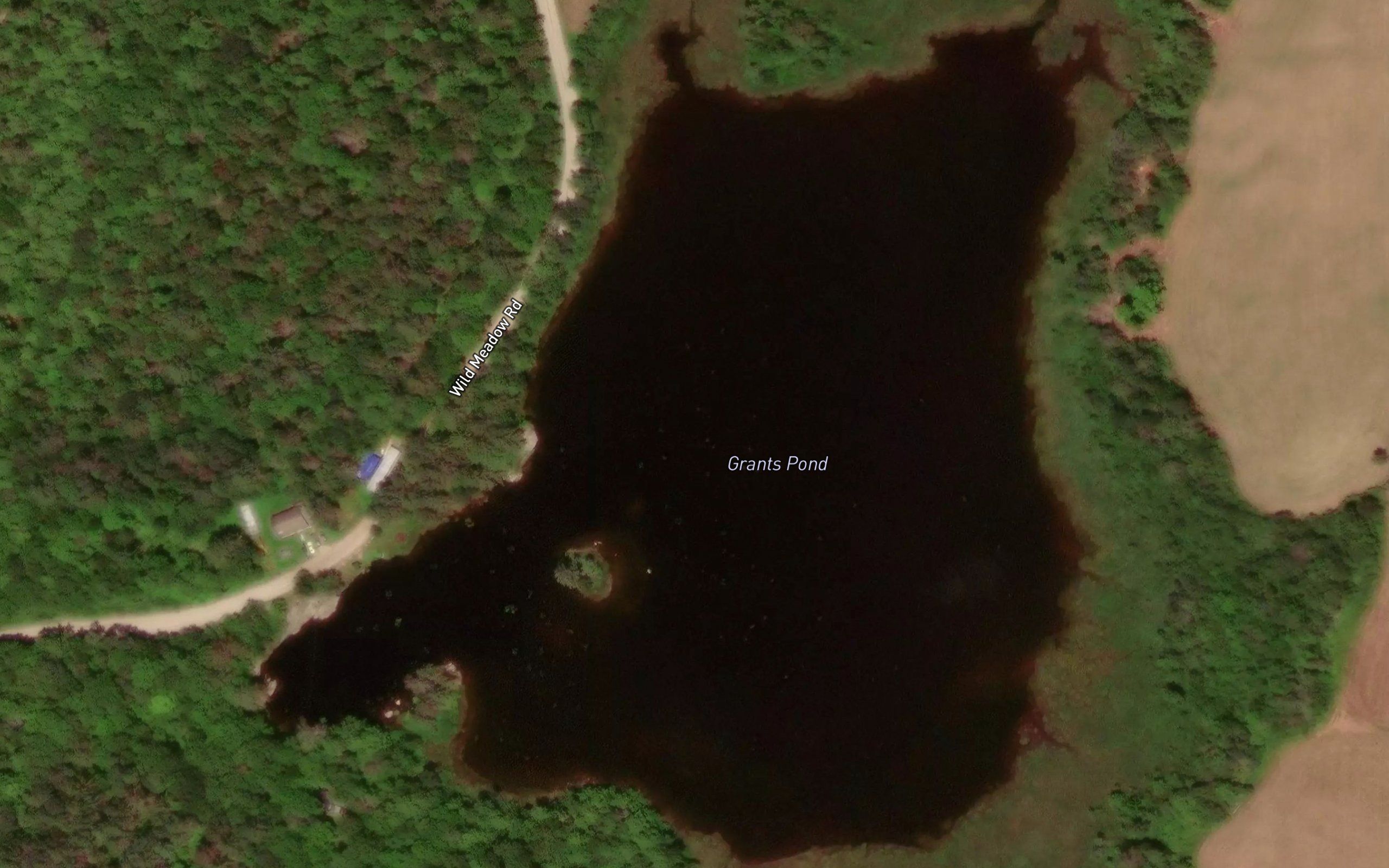 Grants Pond