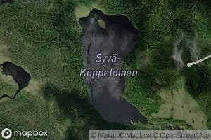 Syva-Koppeloinen