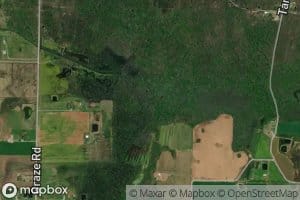 Johnson Chapel Creek