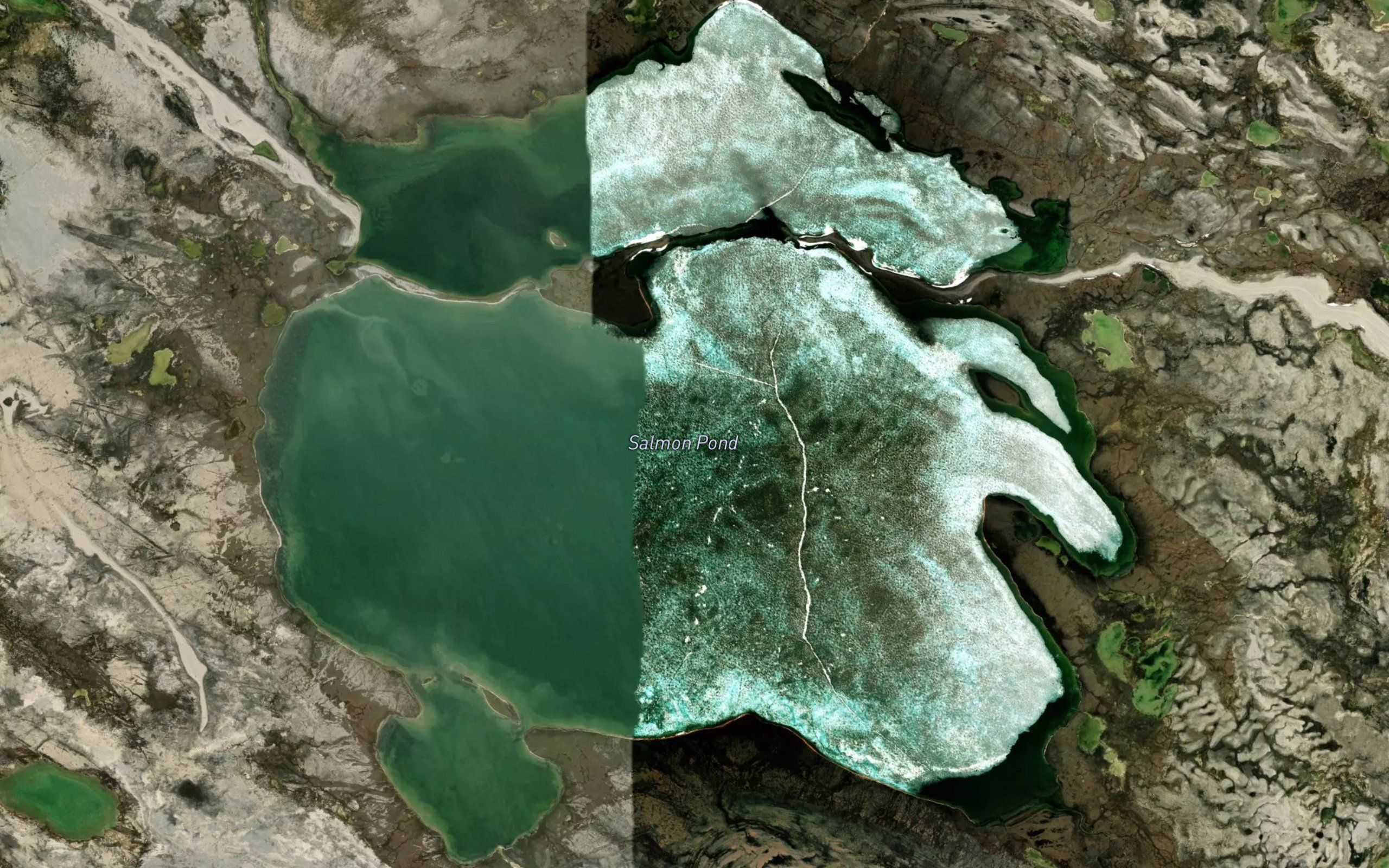 Salmon Pond