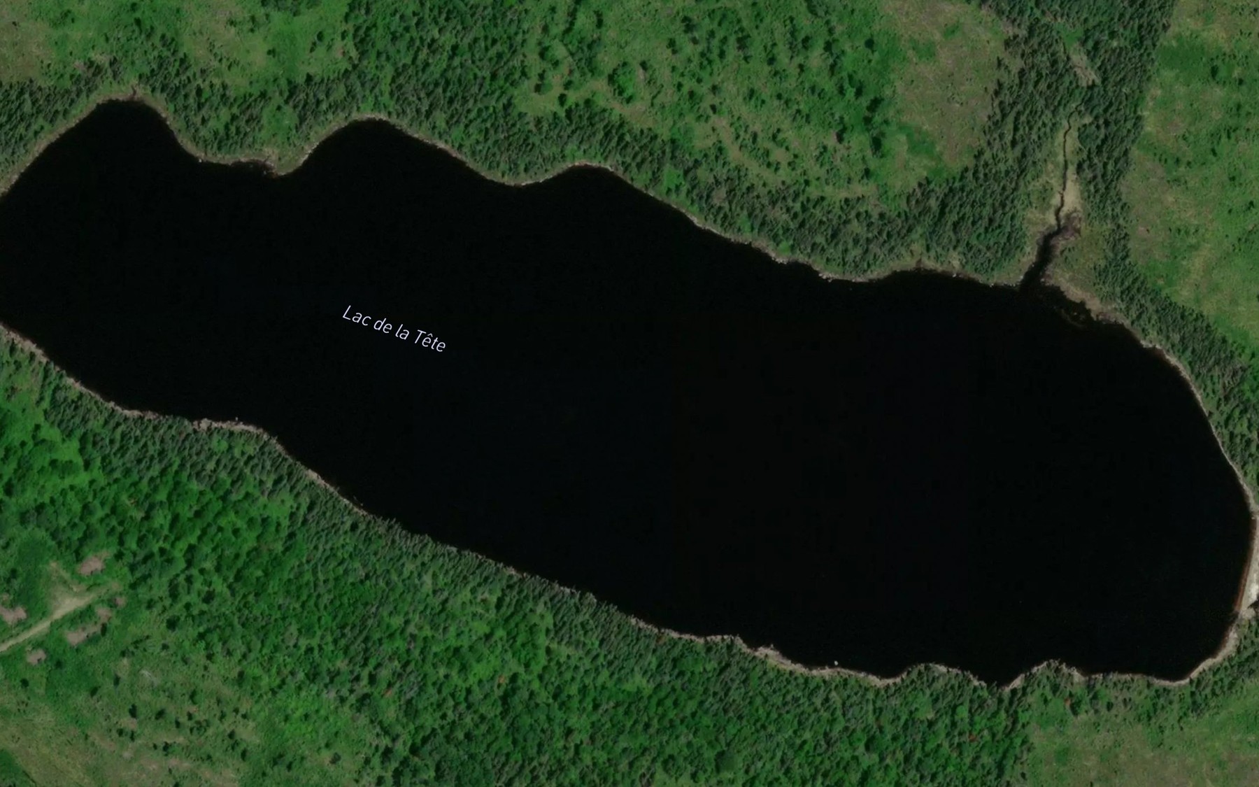 Satellite map of the Lac de la Tete