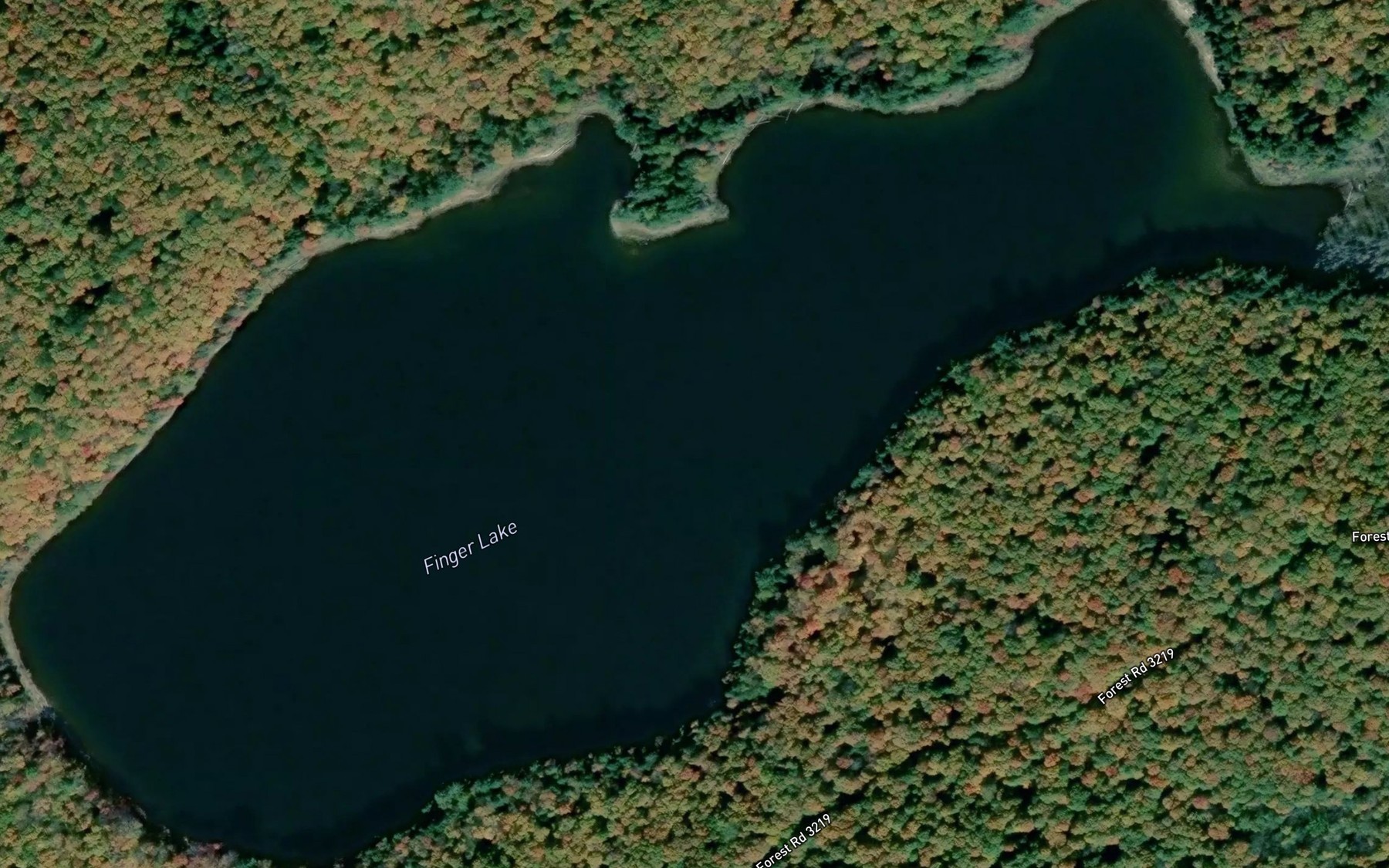 Satellite map of the Finger Lake