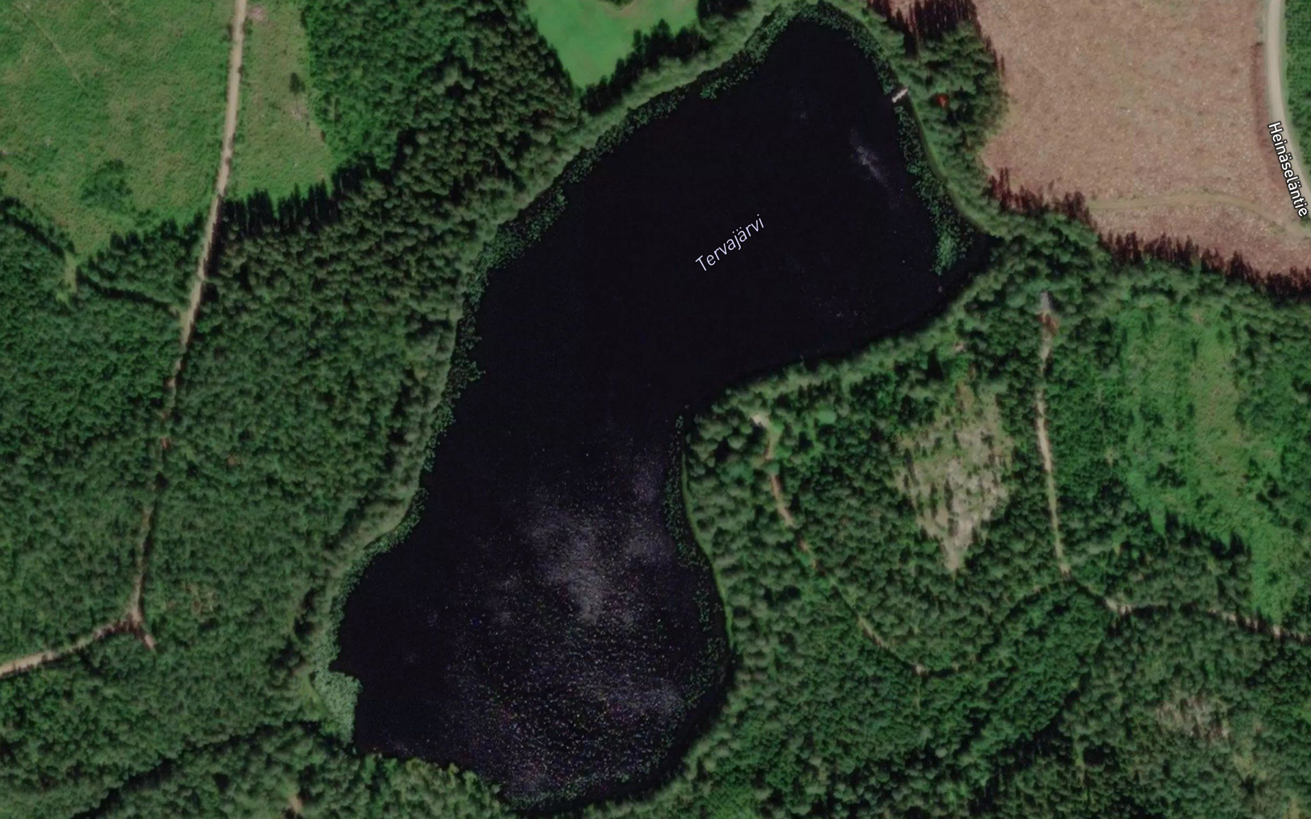 Tervajarvi