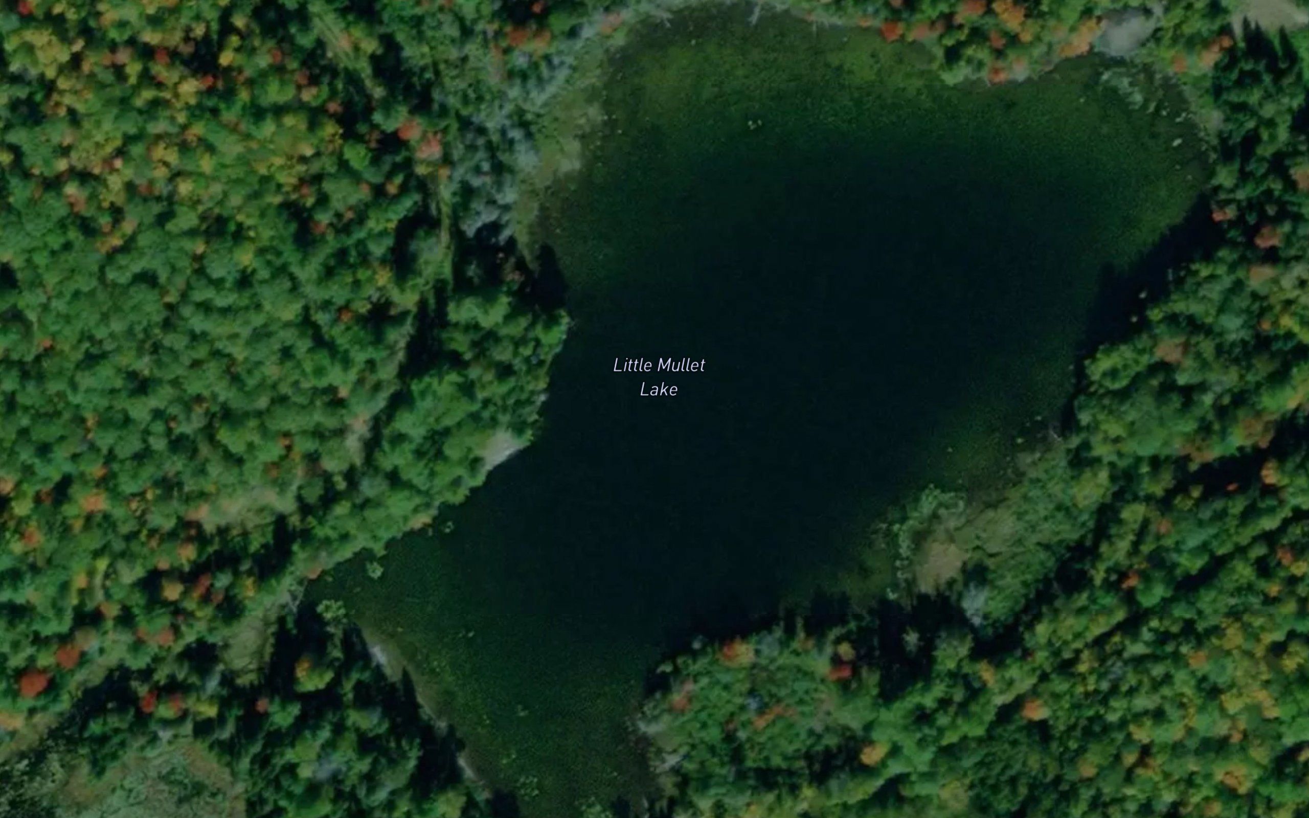 Little Mullet Lake