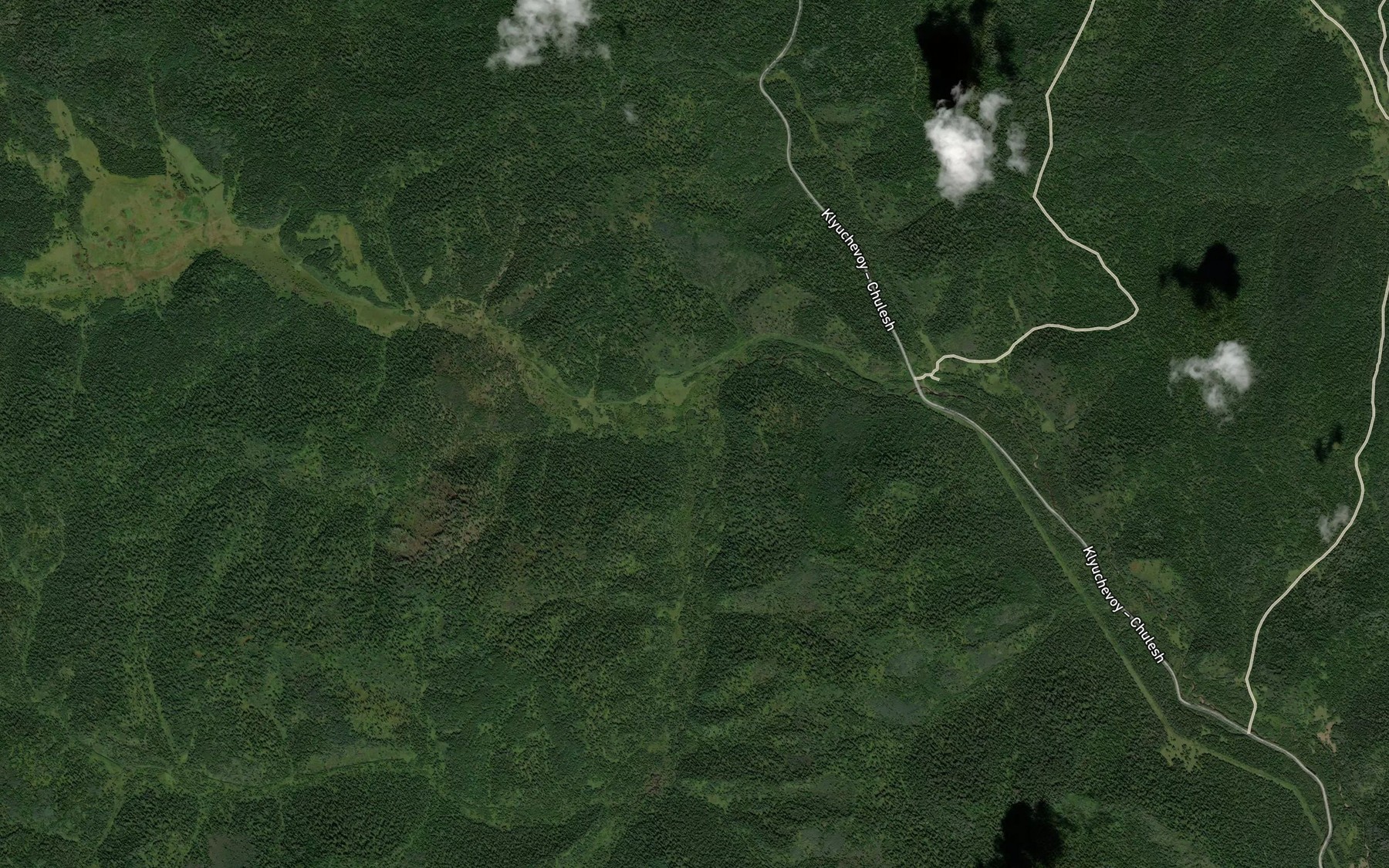 Satellite map of the Berezovaya